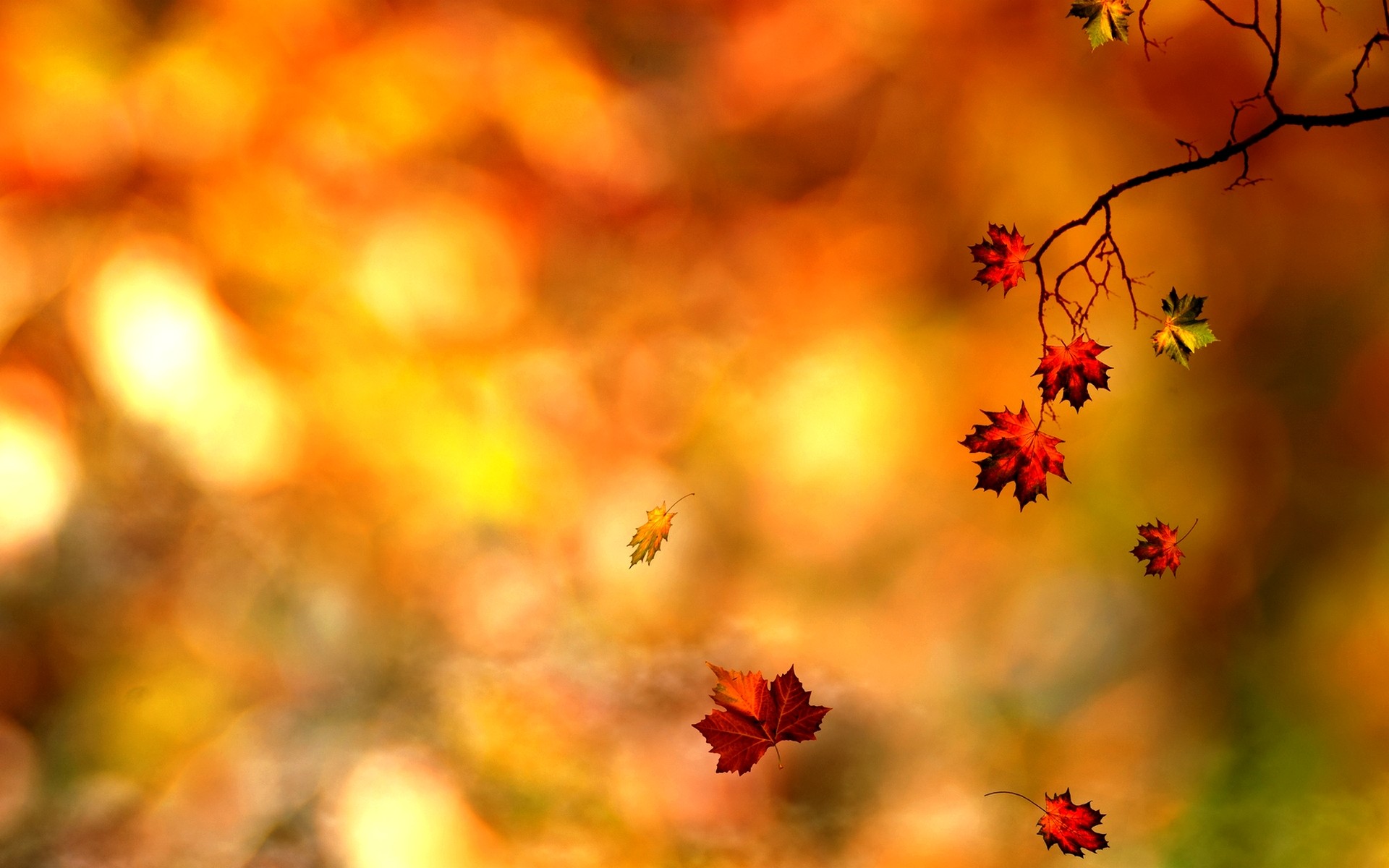 1920x1200 Awesome Leaf Wallpaper