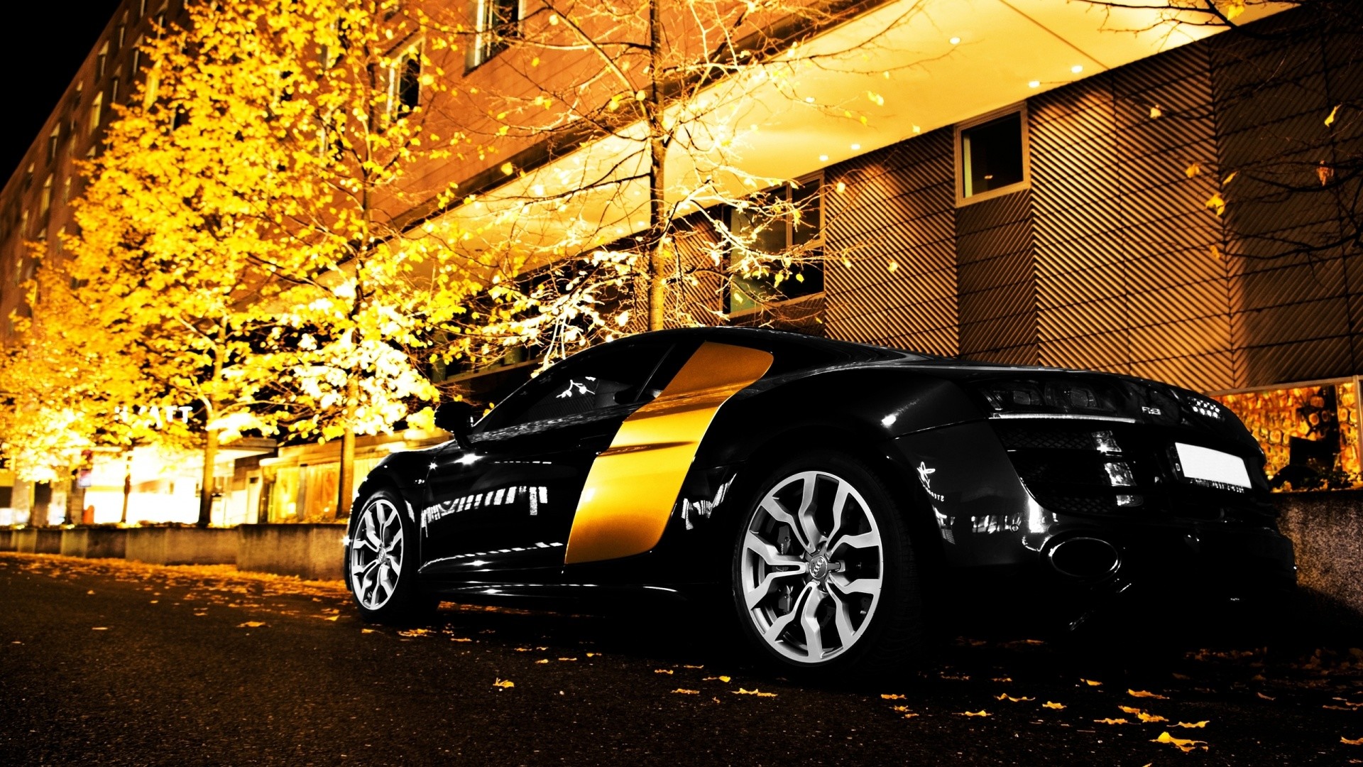 1920x1080 Gorgeous Audi R8 Black at Night  Resolution
