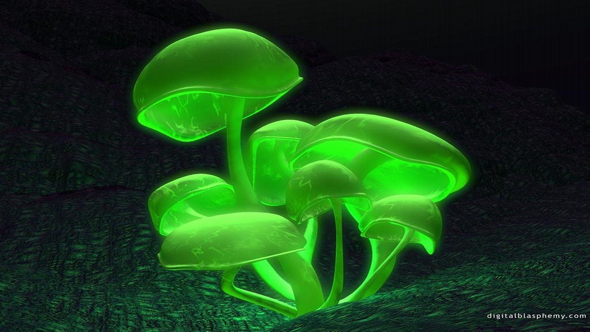 1920x1080 Wrestling Glowing Shrooms Wallpapers HD, HQ Backgrounds | HD .