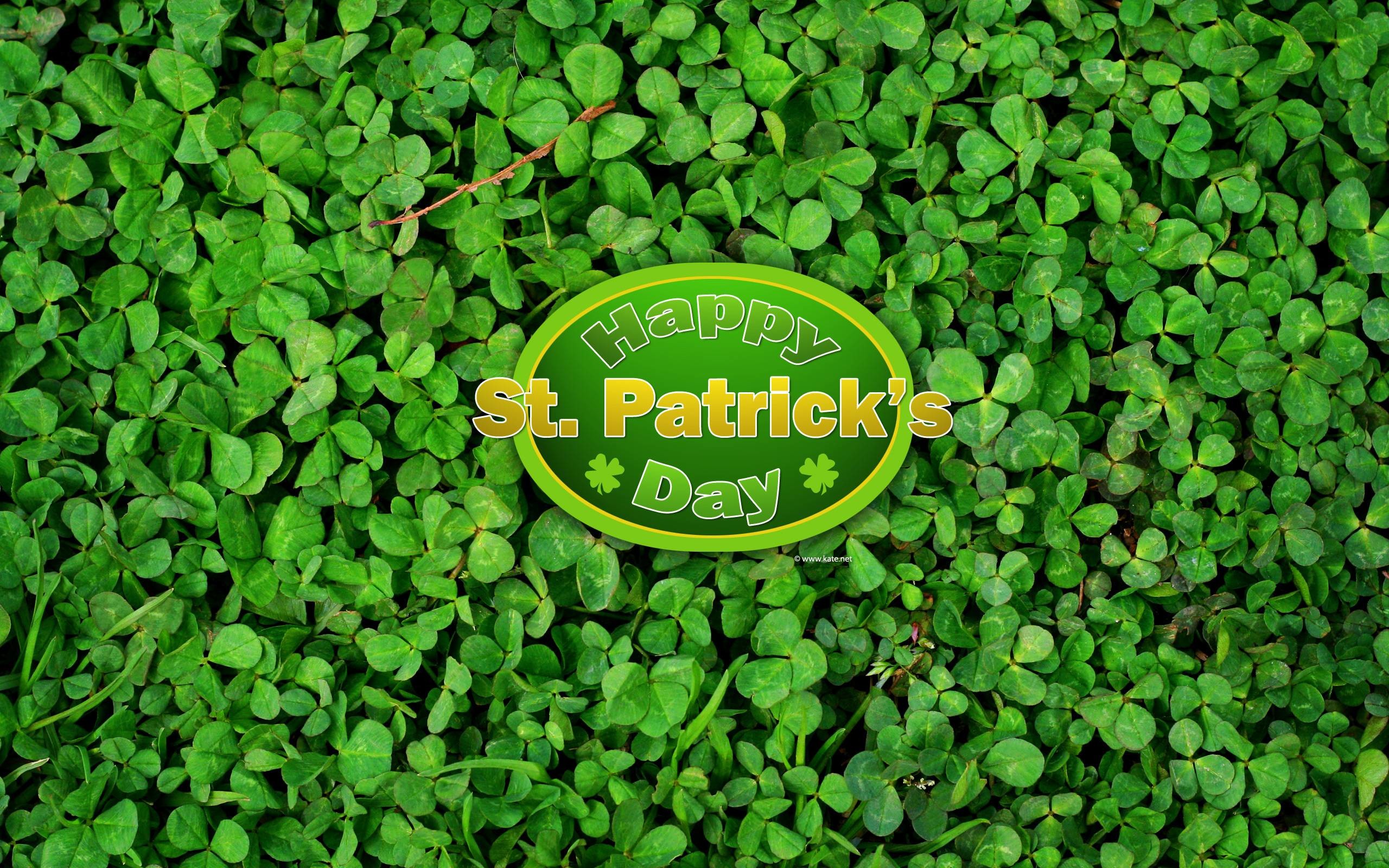 2560x1600 Free St. Patrick's Day Wallpapers by Kate.