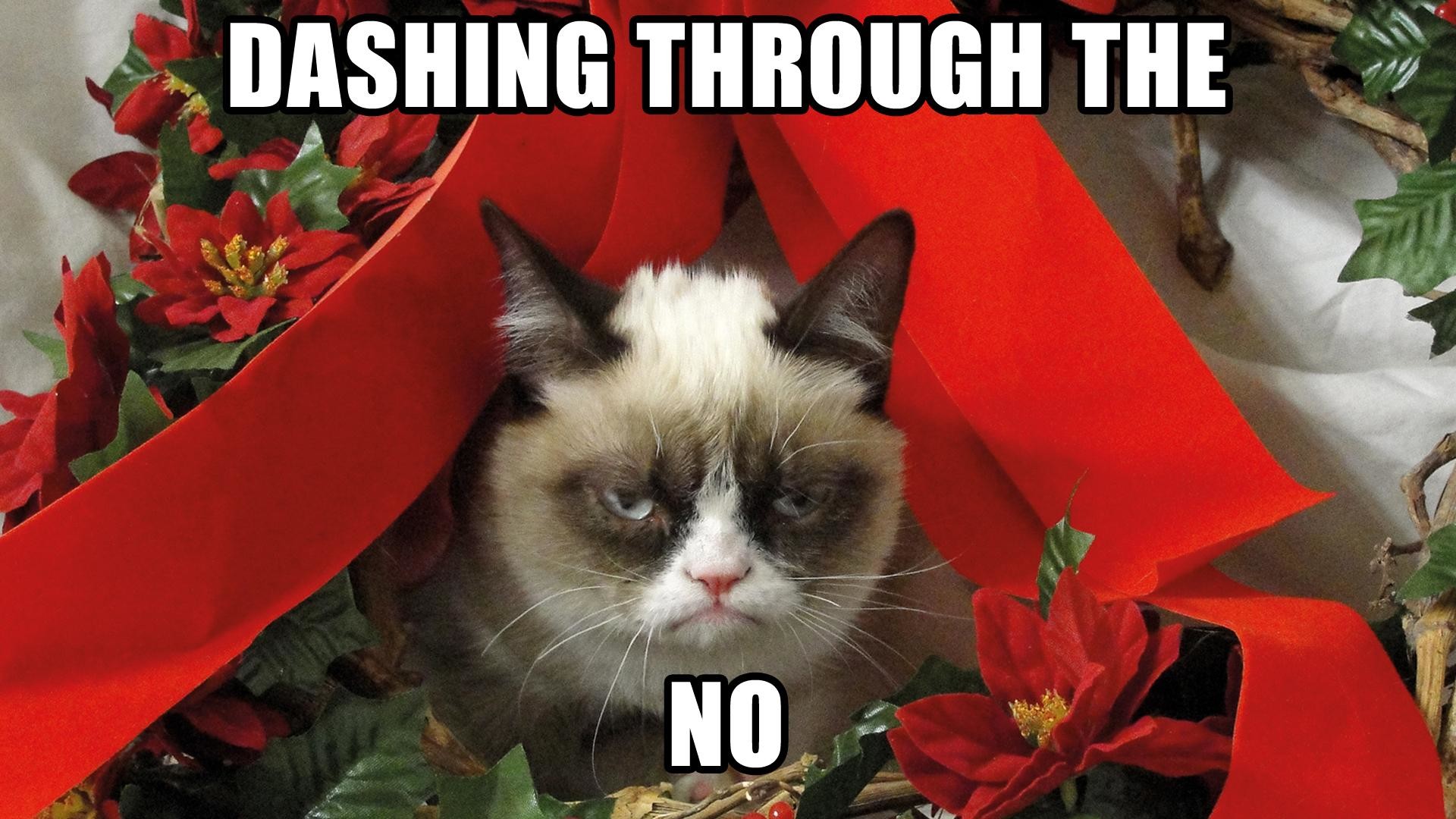 1920x1080 Grumpy Cat Meme Pictures humor funny cats christmas wallpaper |  |  98020 | WallpaperUP