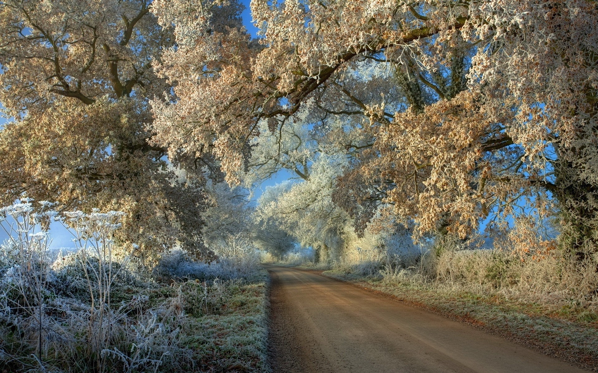 1920x1200 Amazin frosty road in the countryside wallpaper