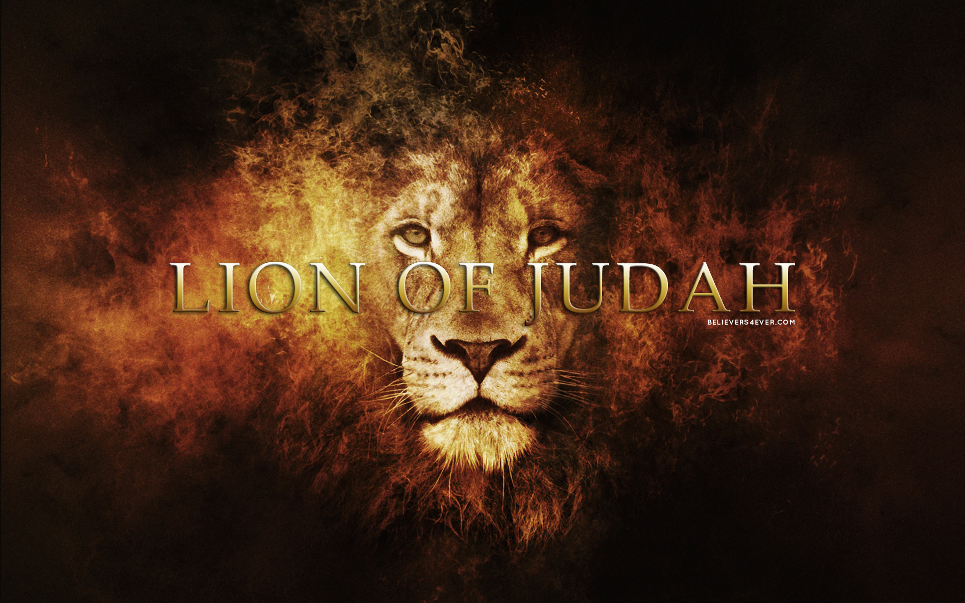 1920x1200 Lion of Judah
