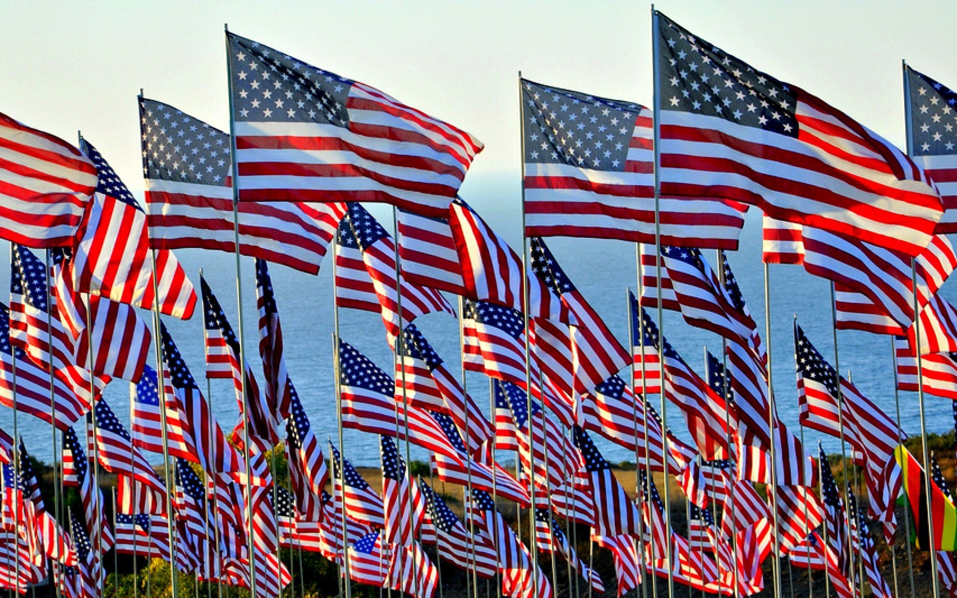 1920x1200 4th of july flags wallpaper