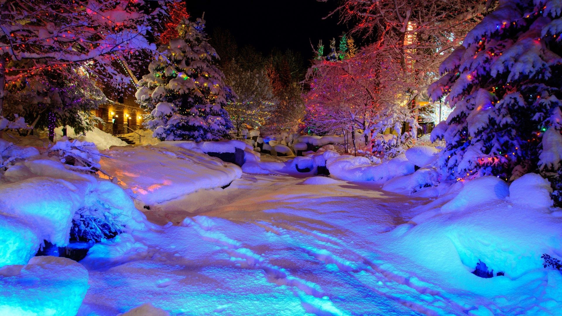 1920x1080 Nights Tag - Christmas Colorful Winter Snow Nature Nights Magic Lights Full  HD Pictures for HD