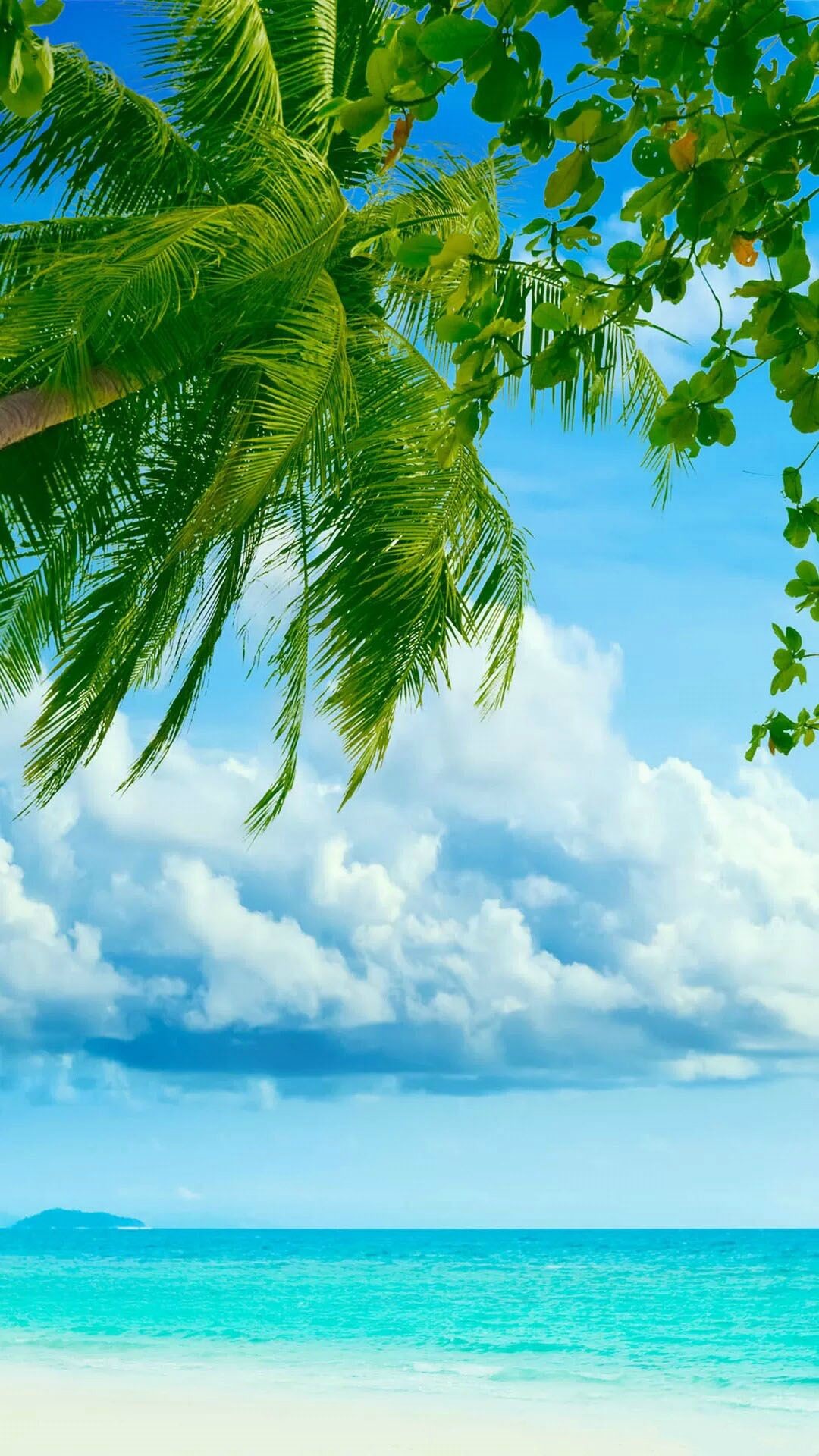 1080x1920 Tropical Beach Coconut Tree #iPhone #6 #plus #Wallpaper