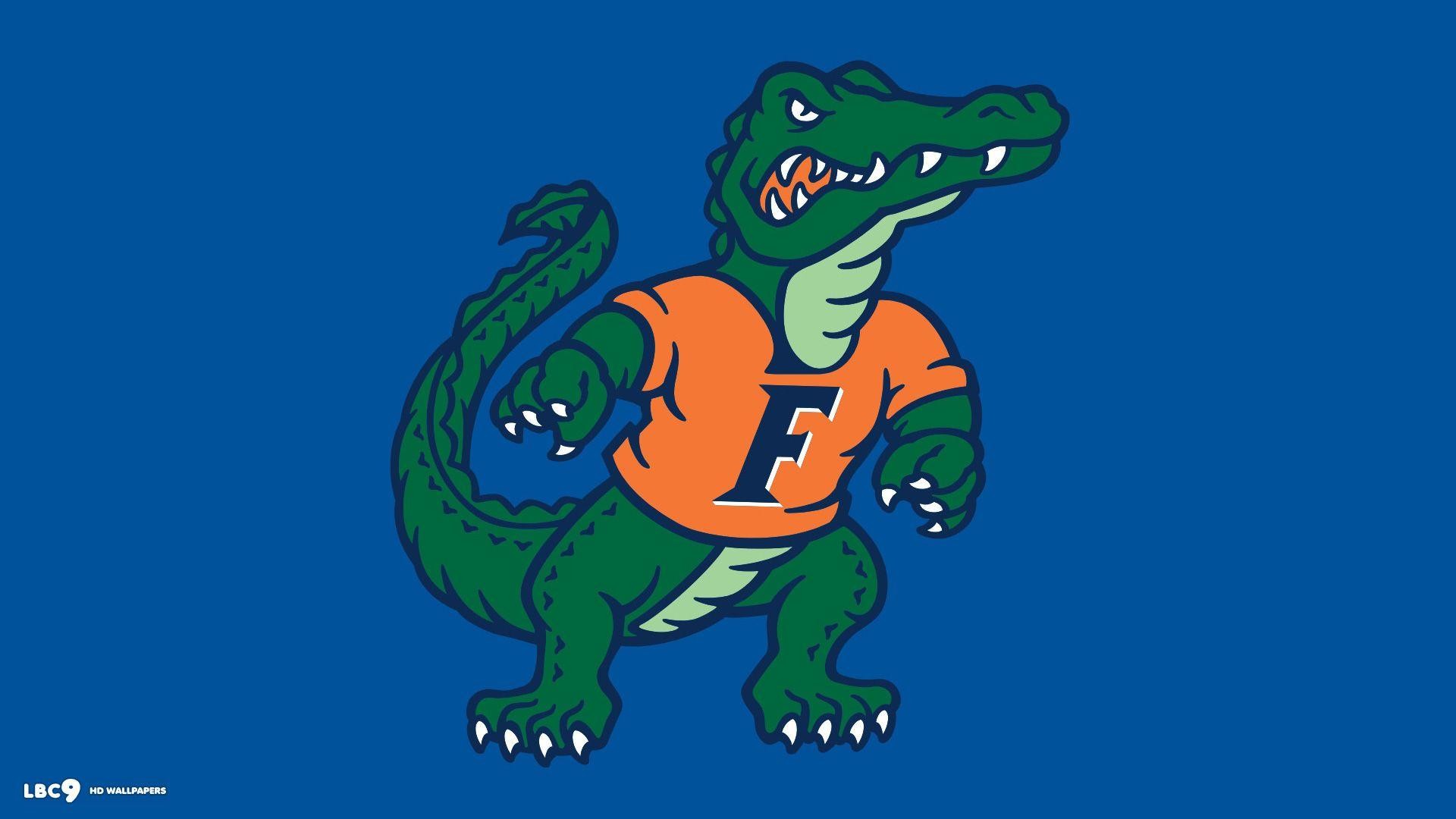 Gators Apple Wallpaper Hd  Florida gators wallpaper Florida gators  football wallpaper Gator