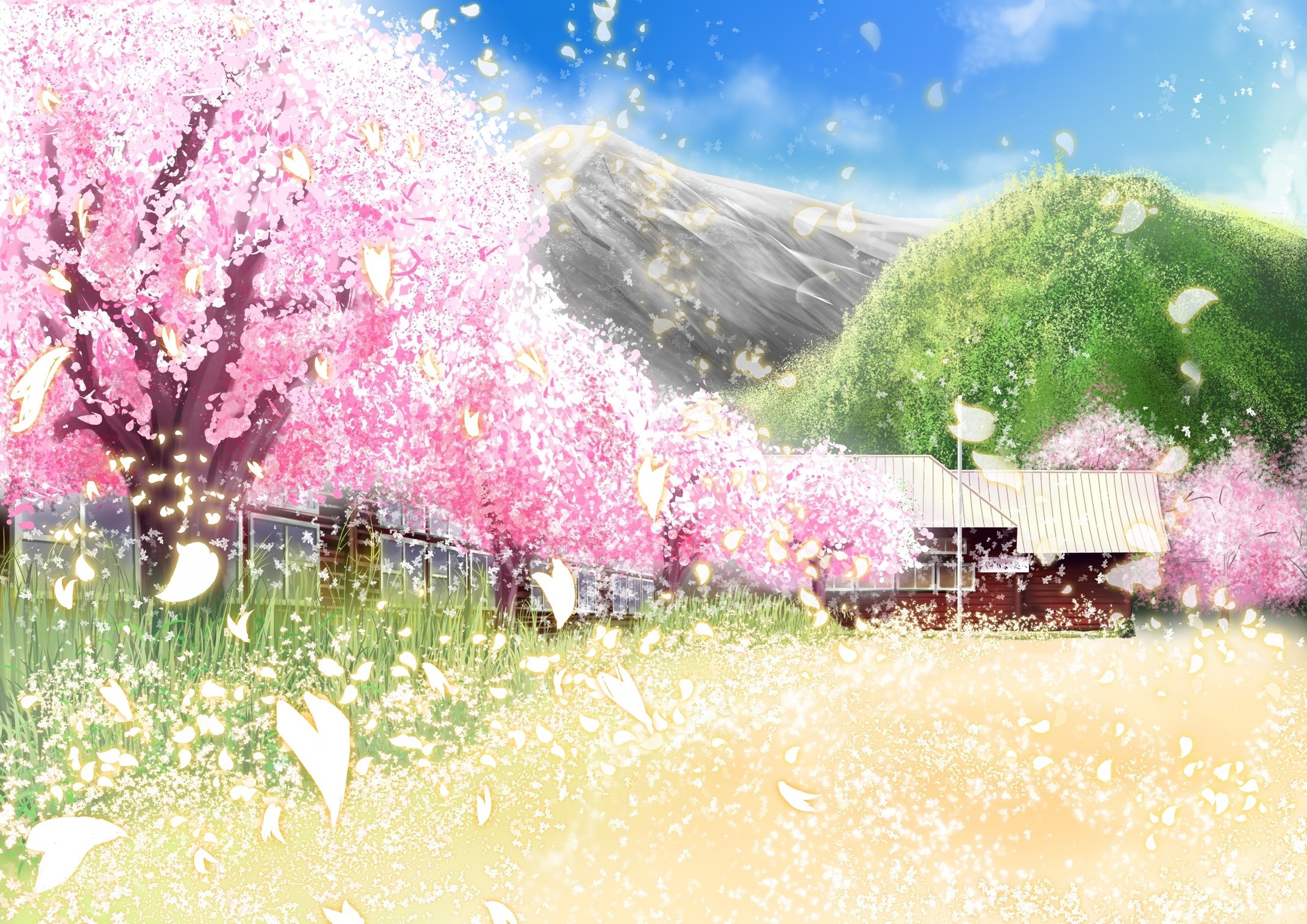 Anime Cherry Blossom Wallpaper.