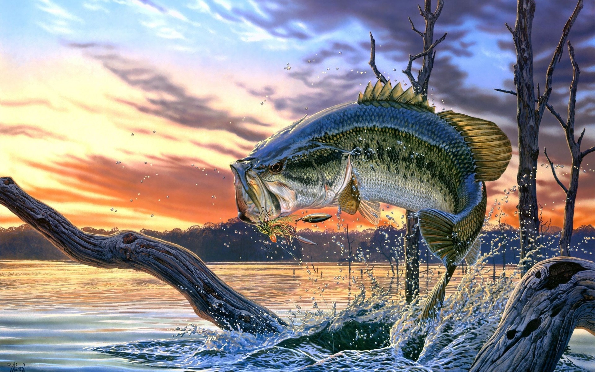 1920x1200 ... Fish Wallpapers Archives - Page 5 of 8 - HD Desktop Wallpapers | 4k HD  ...