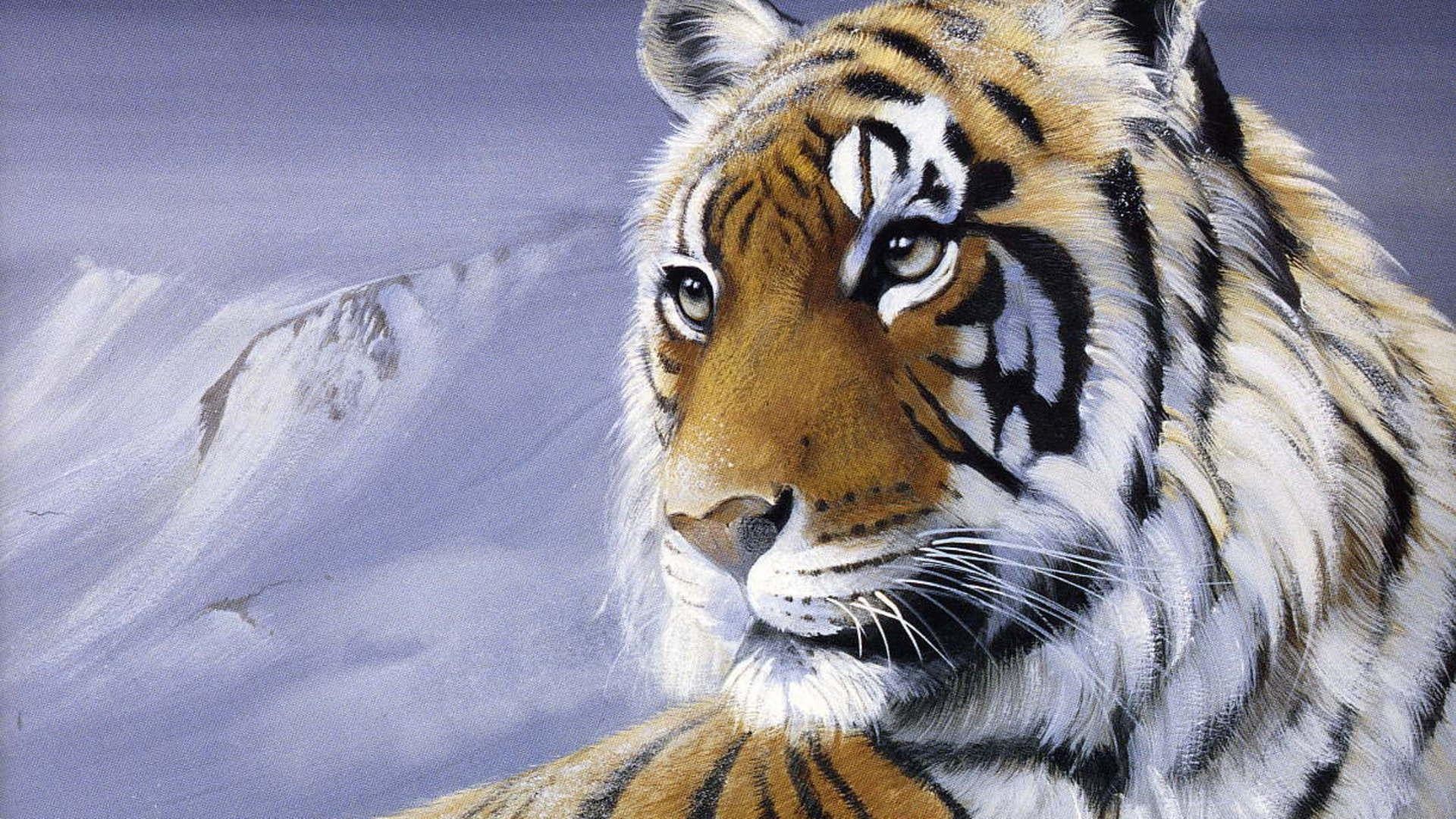 1920x1080 Wild Tiger Wallpapers Download - HD Great Images