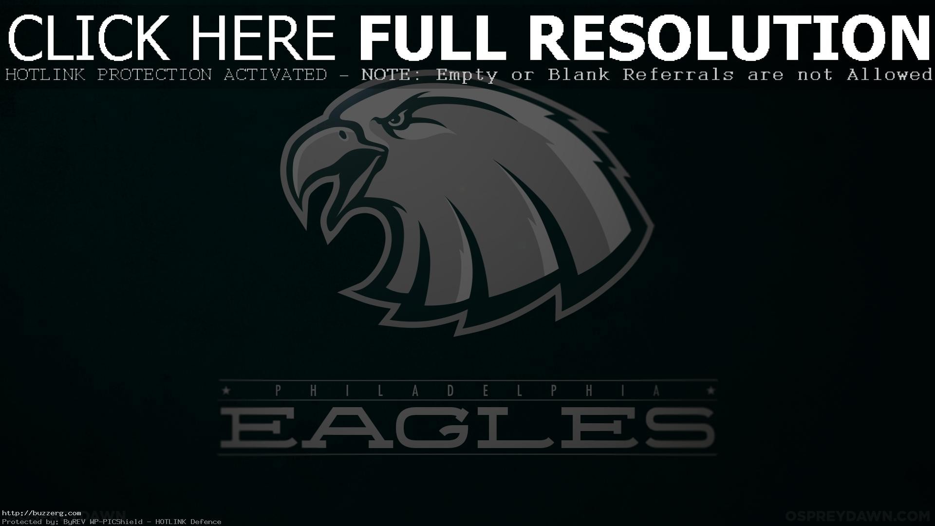 1920x1080 The Philadelphia Eagles Osprey Dawn (id: 163357)