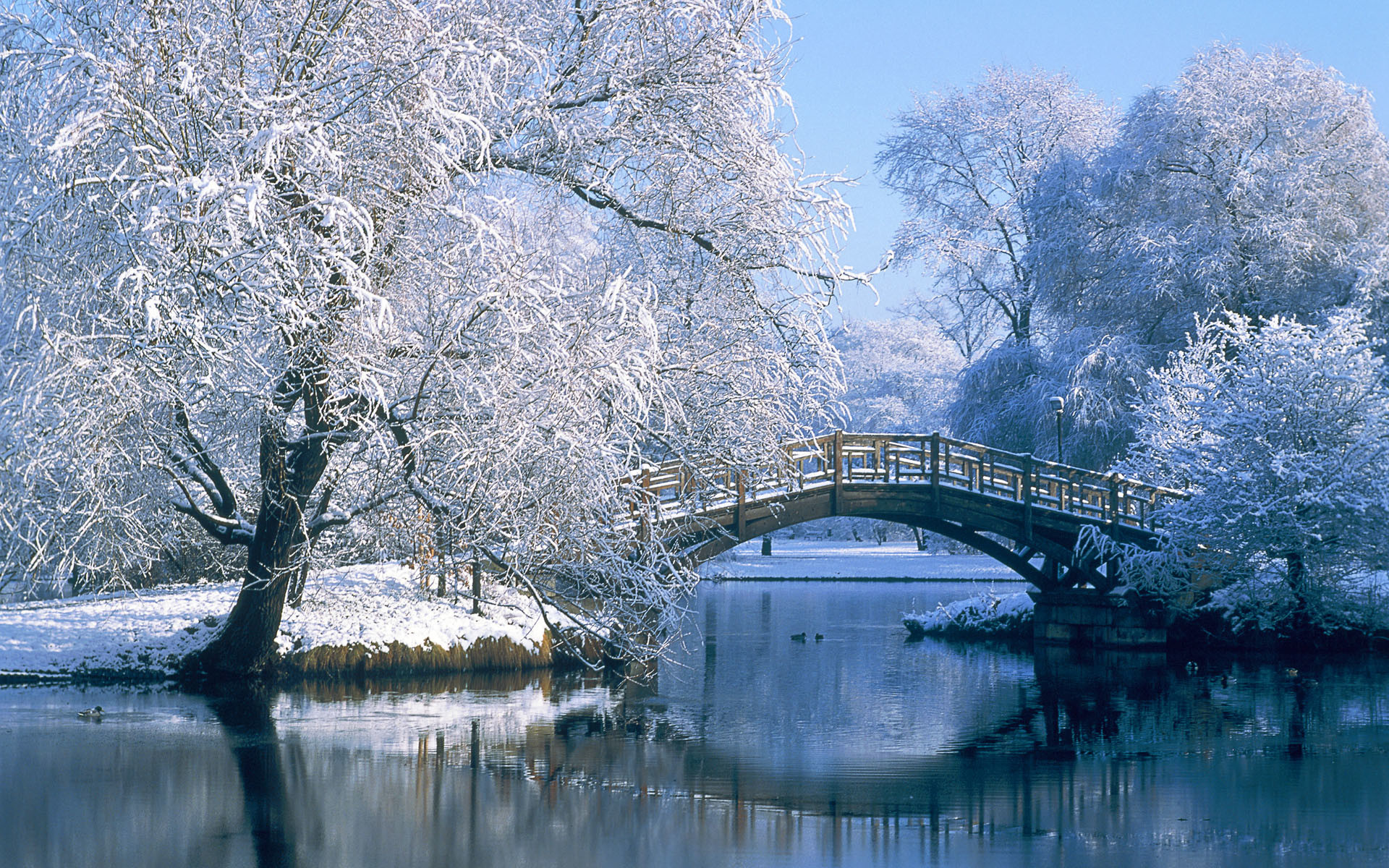 1920x1200 Winter Backgrounds 18561