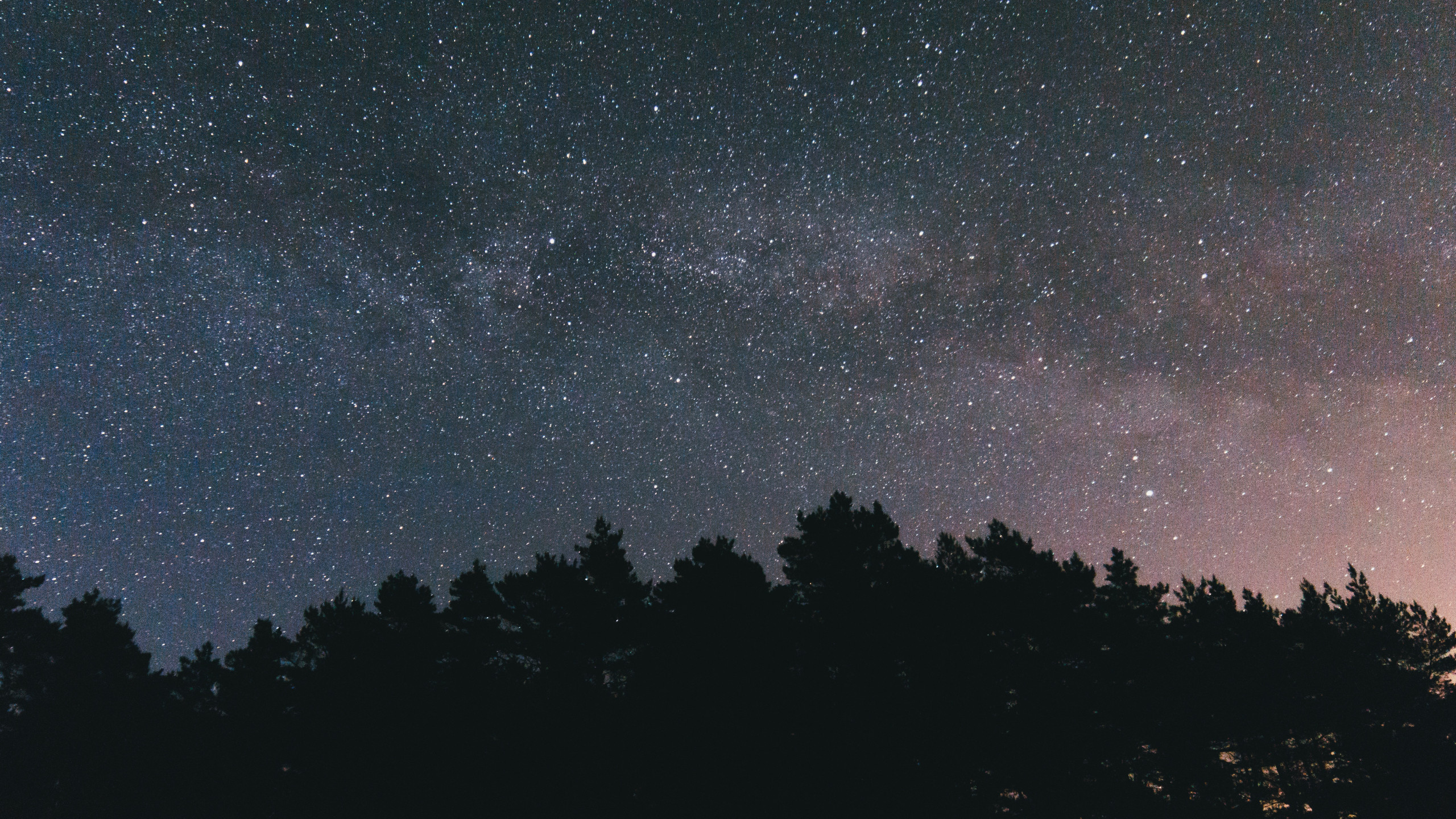 2560x1440 Preview wallpaper starry sky, night, trees, sky 