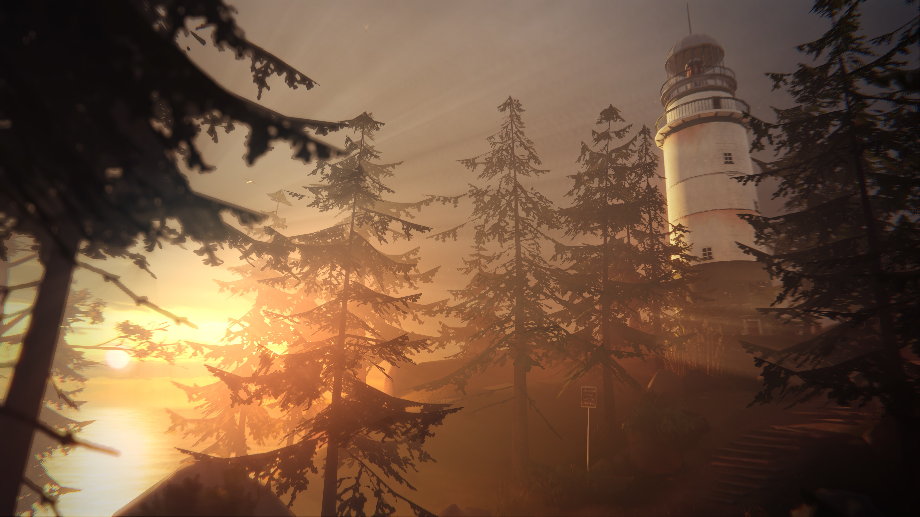 3840x2160 Steam Community :: Guide :: Life Is Strange // Optional Photos Guide ...