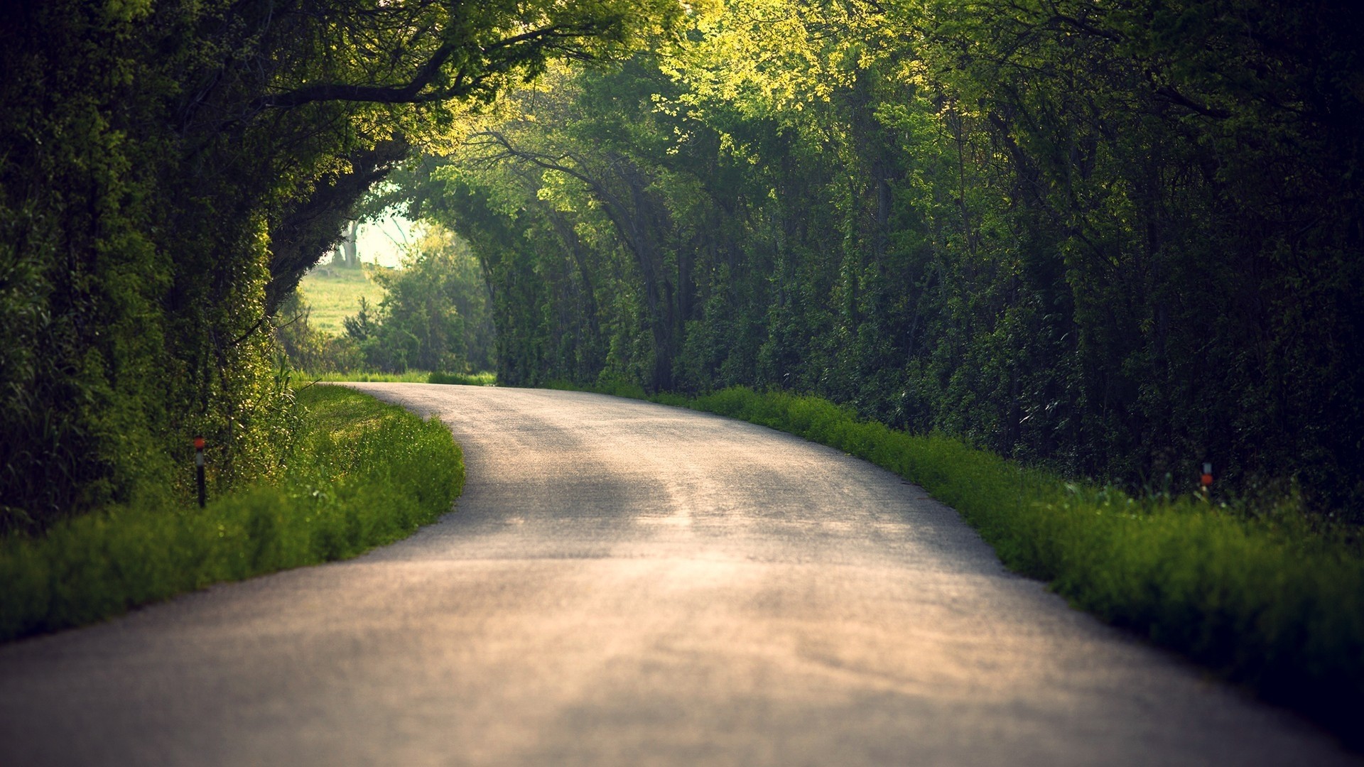 1920x1080 Preview wallpaper summer, nature, road, leaves, trees 