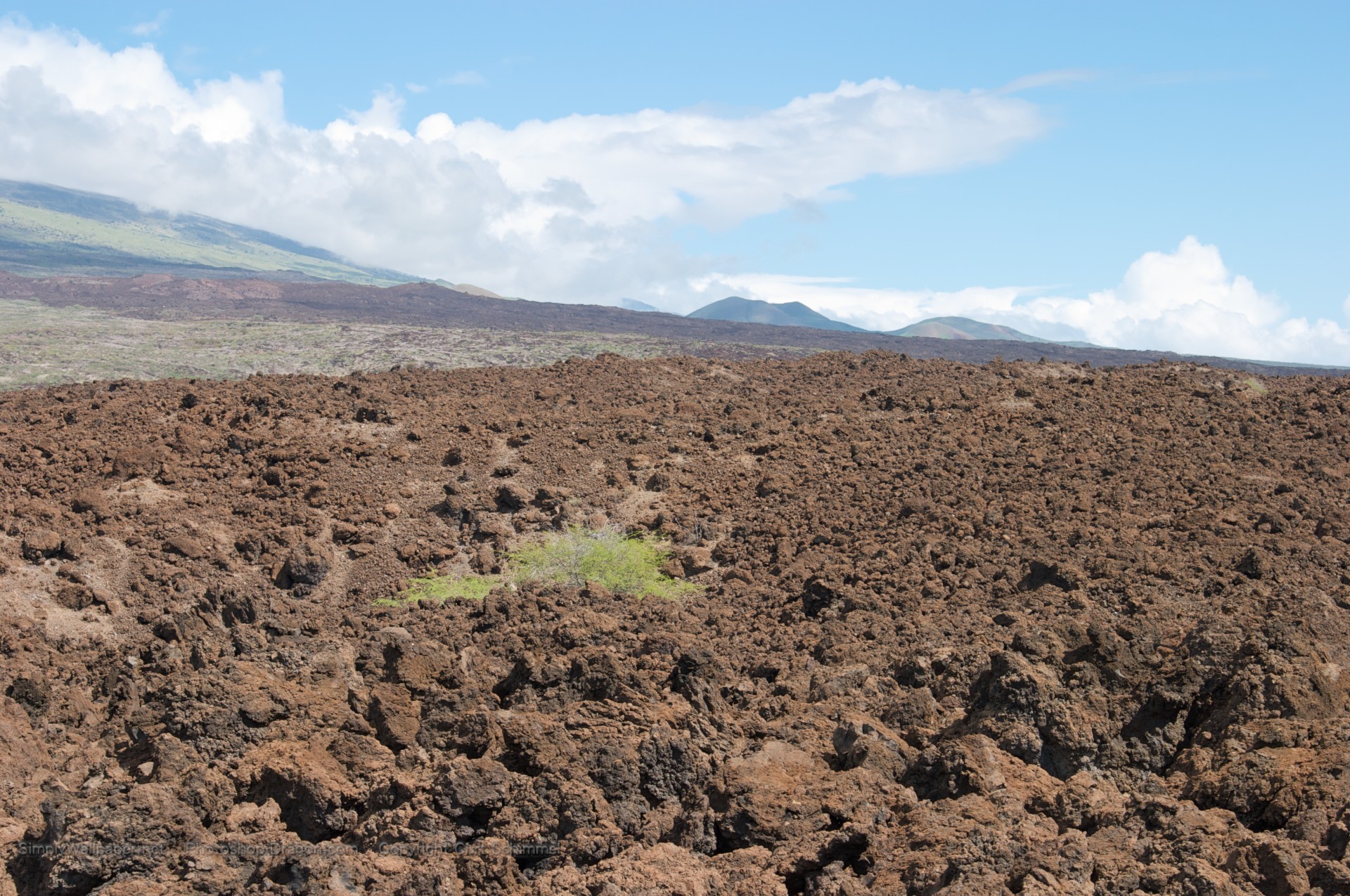 1920x1275 Lava Field on Maui wallpaper - Click picture for high resolution HD  wallpaper
