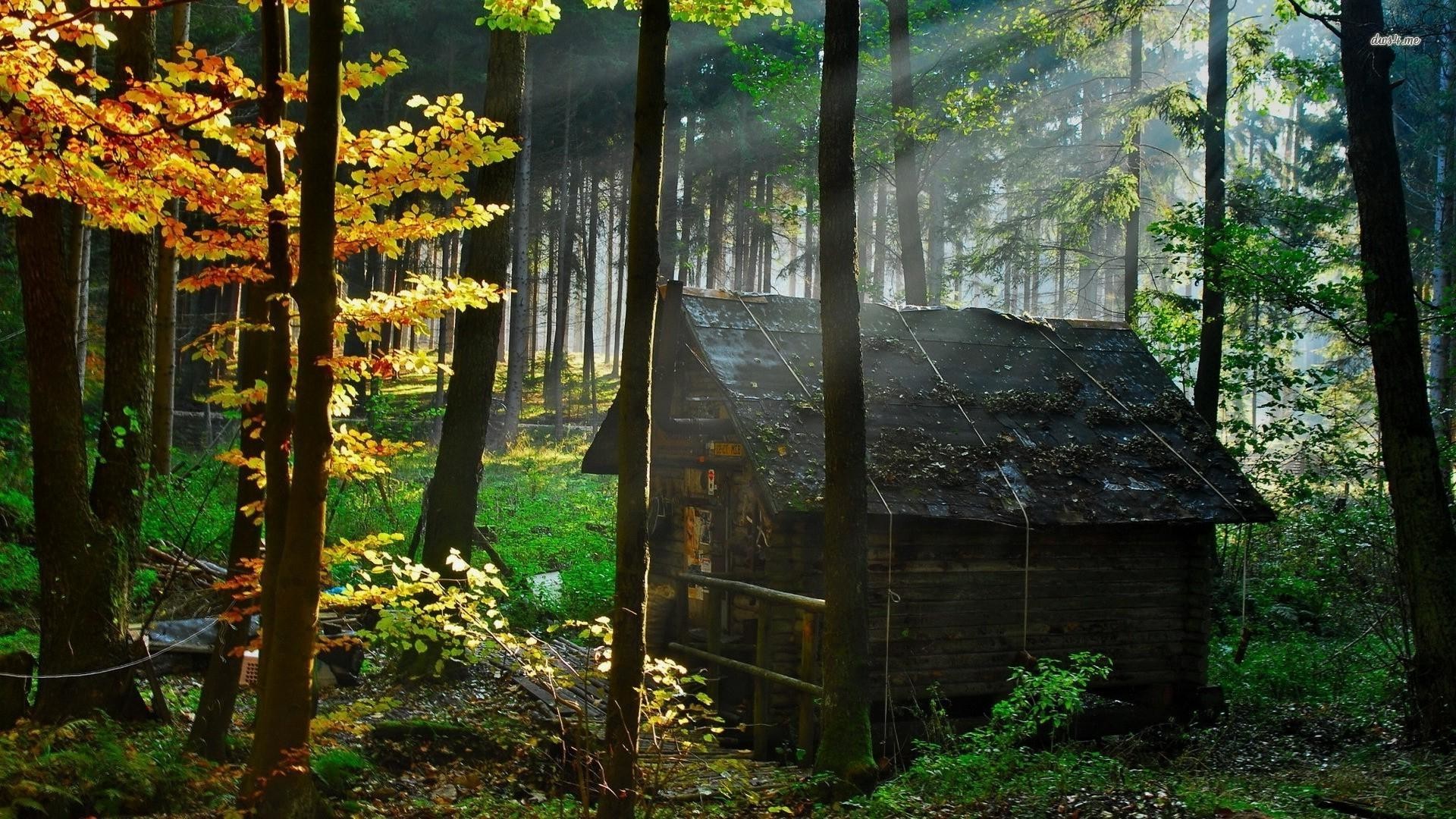 1920x1080 abandoned-house-wood-Google-Search-wallpaper-wp6802181