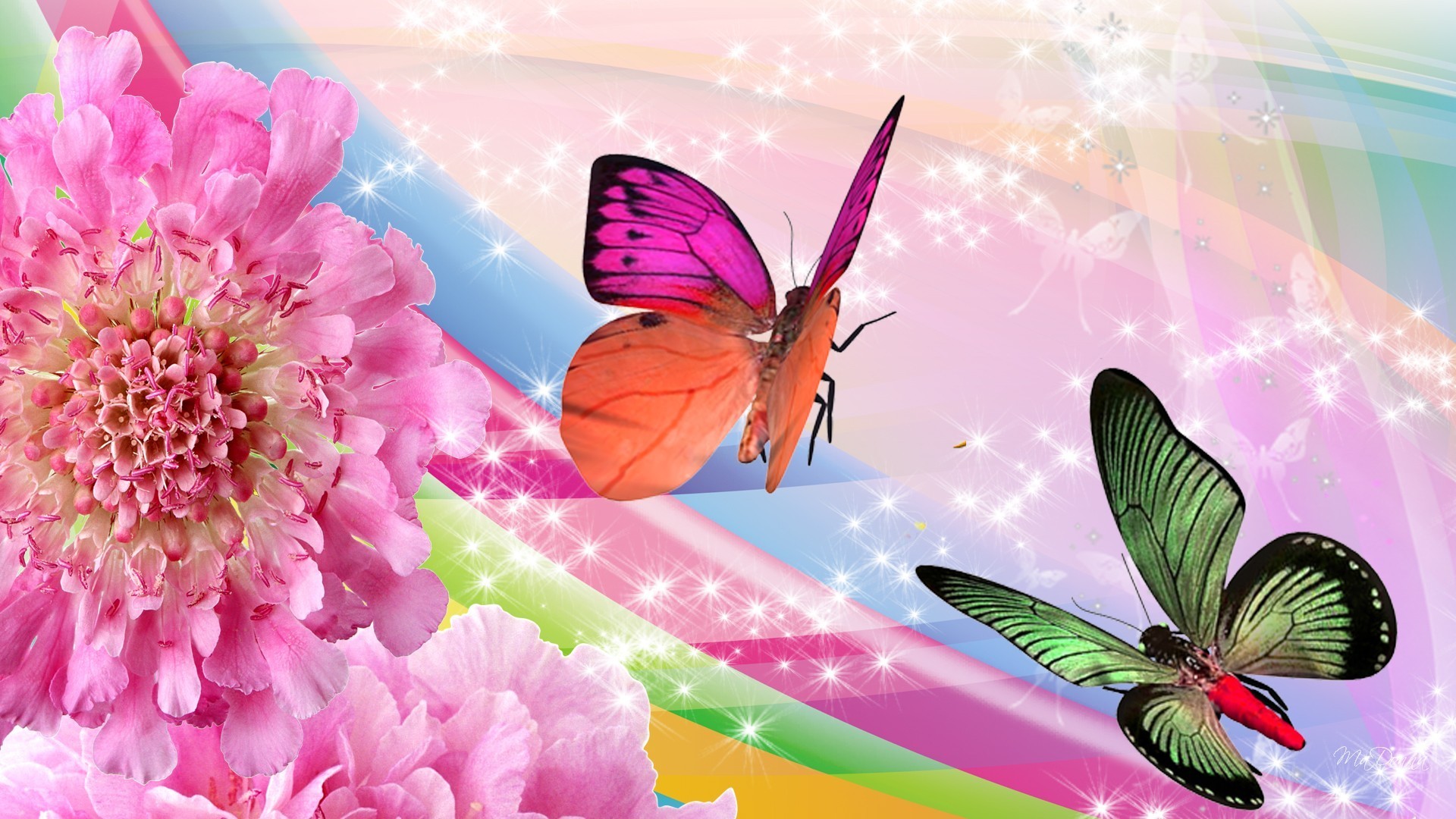 1920x1080 Butterflies Tag - Rainbow Flowers Butterflies Butterfly Firefox Persona Sparkles  Pink Bright Stars Mobile Wallpapers Hd