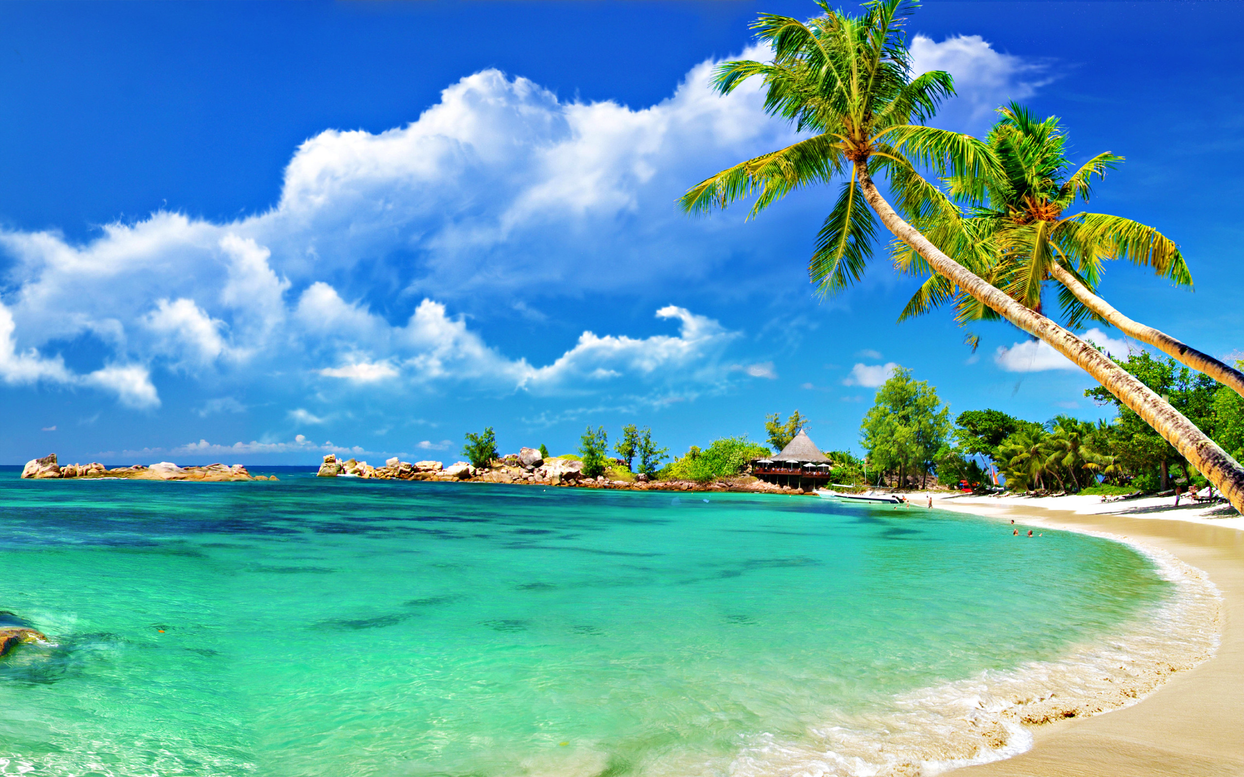 2560x1600 Related Wallpapers from Bahamas Wallpaper