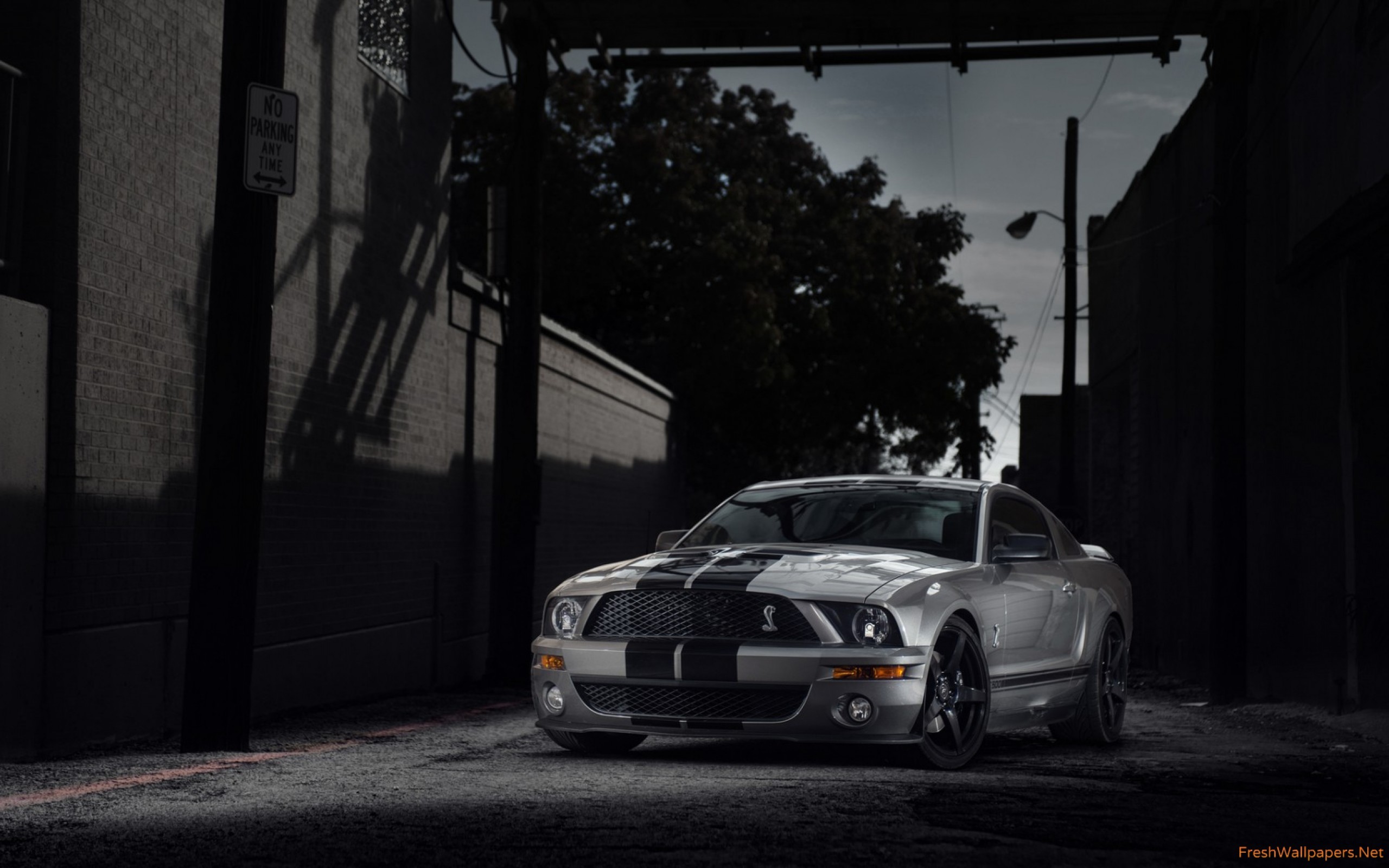 2560x1600 Ford Shelby Gt500 Eleanor Muscle Car wallpaper