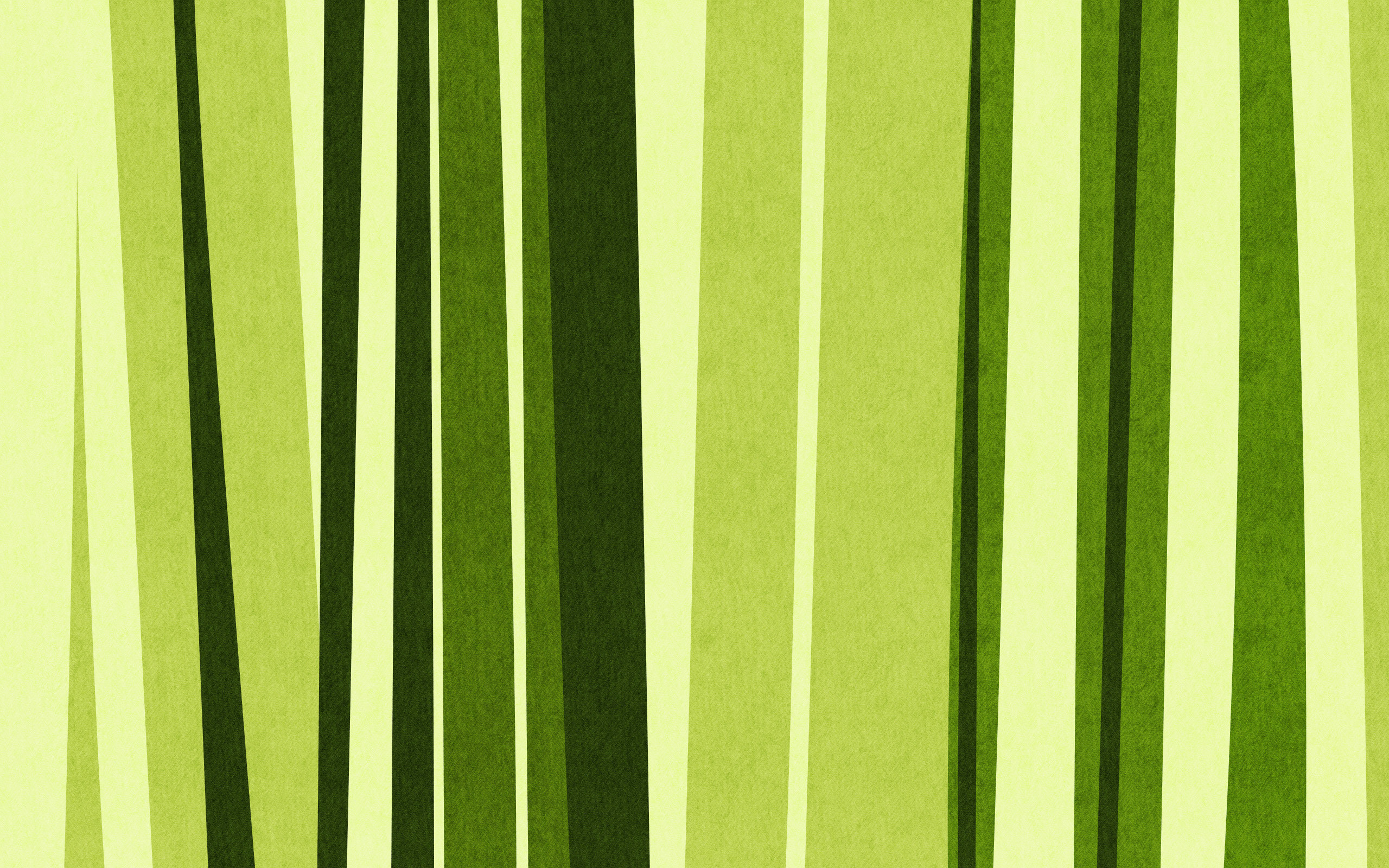 2560x1600 green bamboo, texture bamboo , green bamboo texture, photo, background