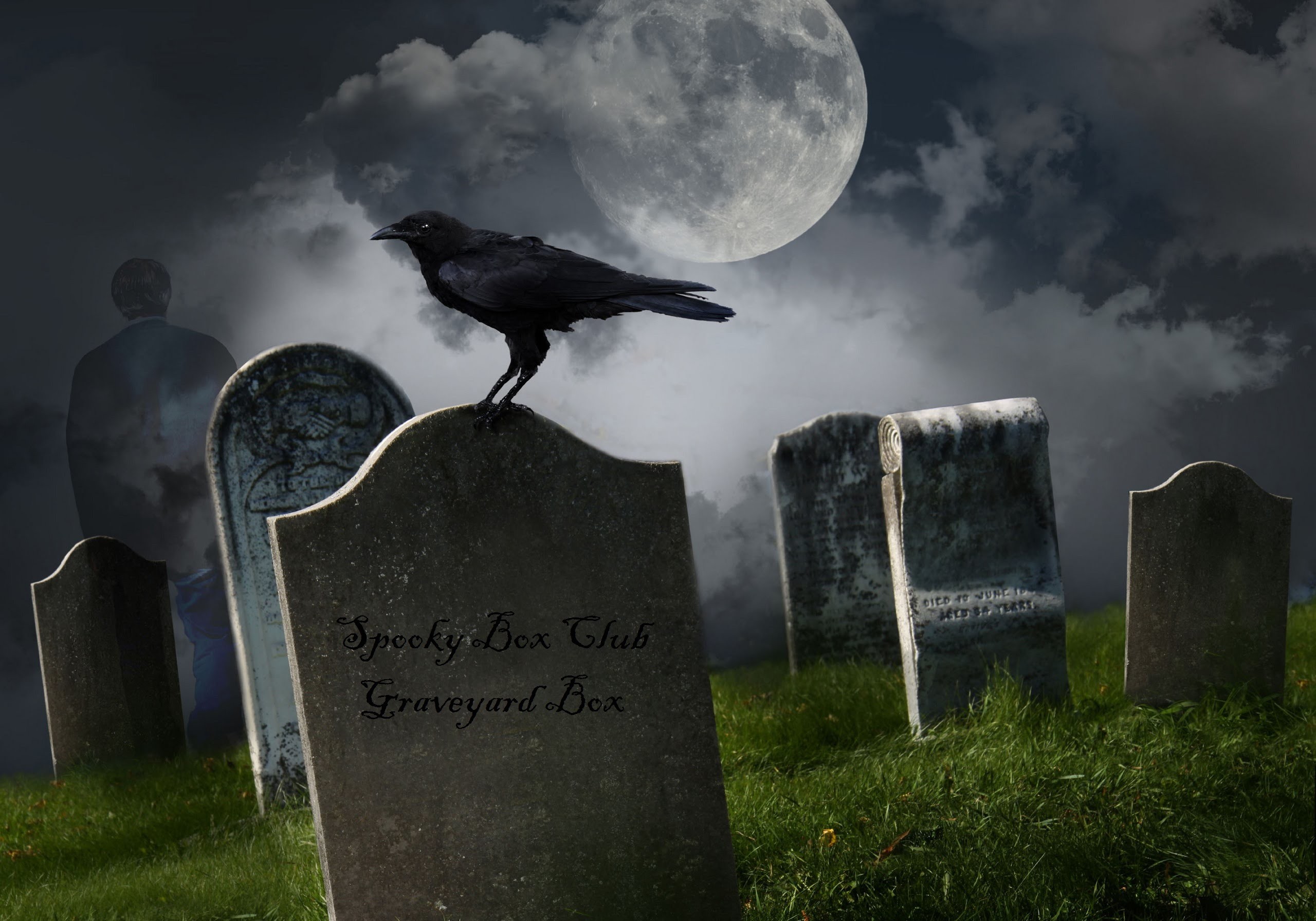 2560x1793 Crow of cemetery