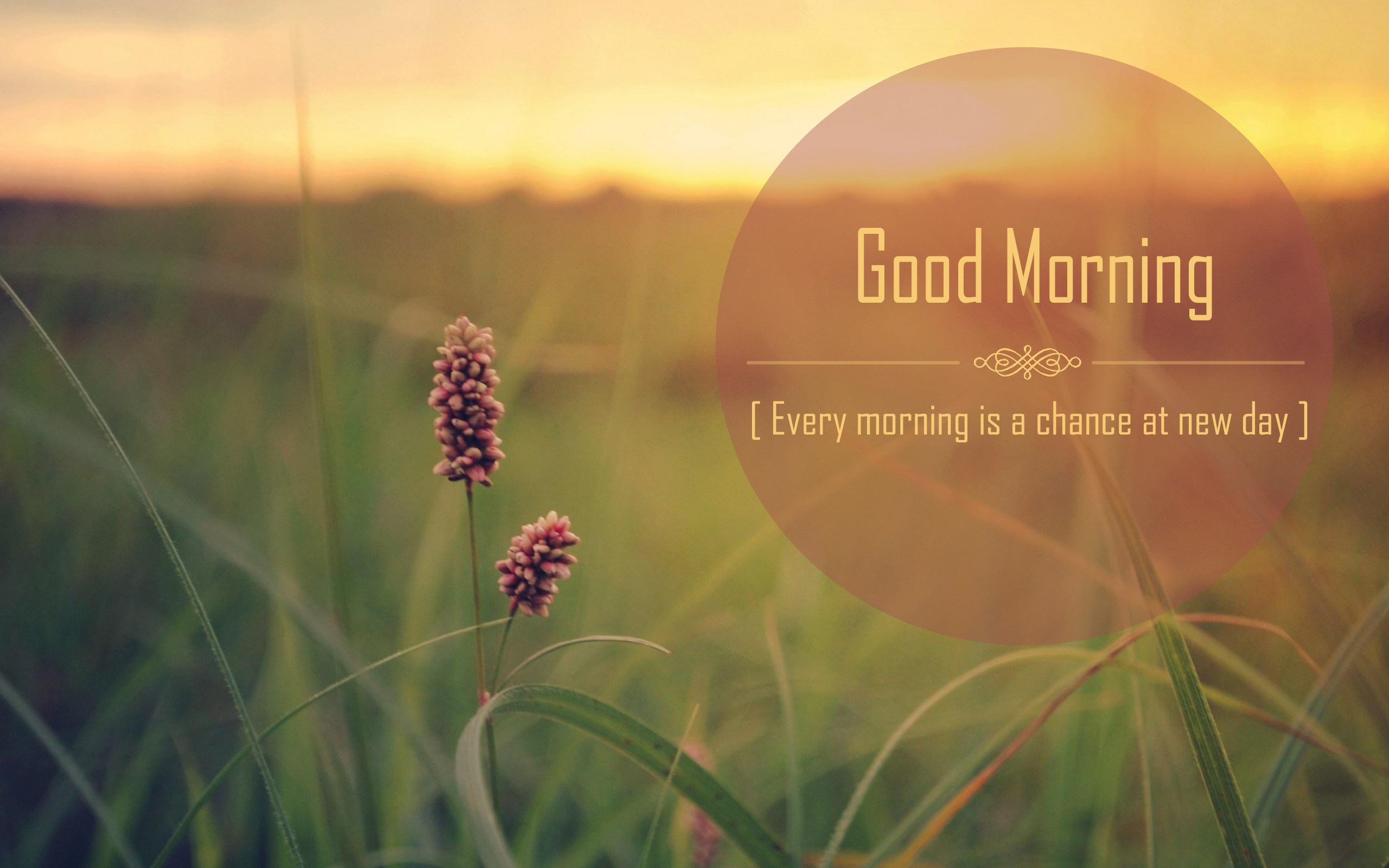 2560x1600 good-morning-quotes-Beautiful-Good-Morning-Quotes-picspaper-
