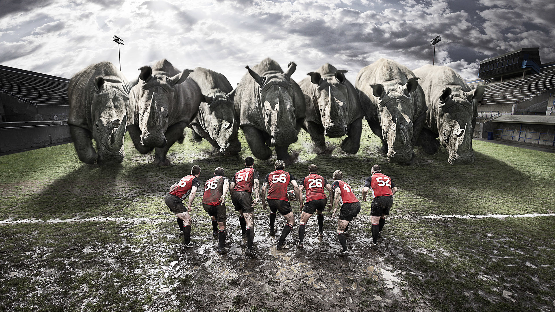 1920x1080 Preview wallpaper rugby, team, rhinos, dirt, field 