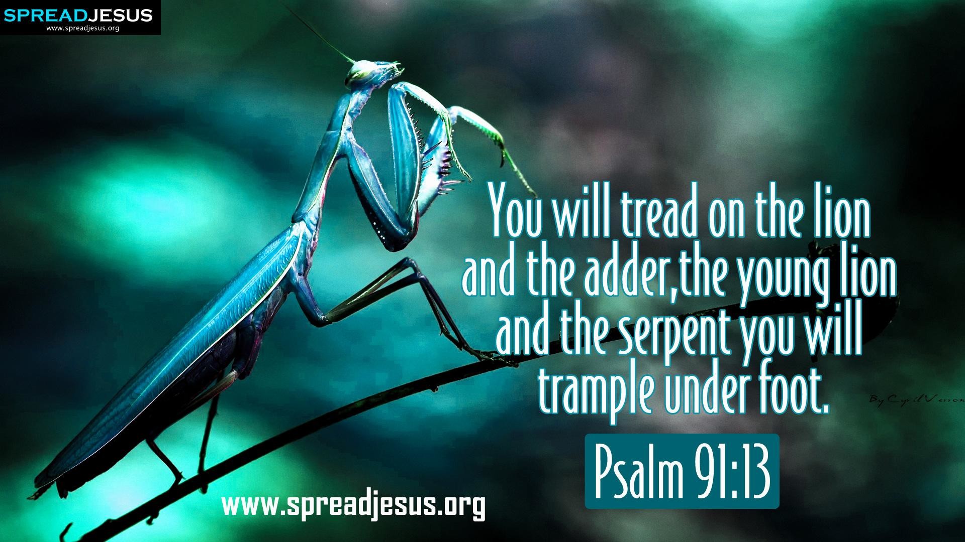 1920x1080 Biblical-Adder-Psalm-BIBLE-QUOTES-HD-FREE-DOWNLOAD-