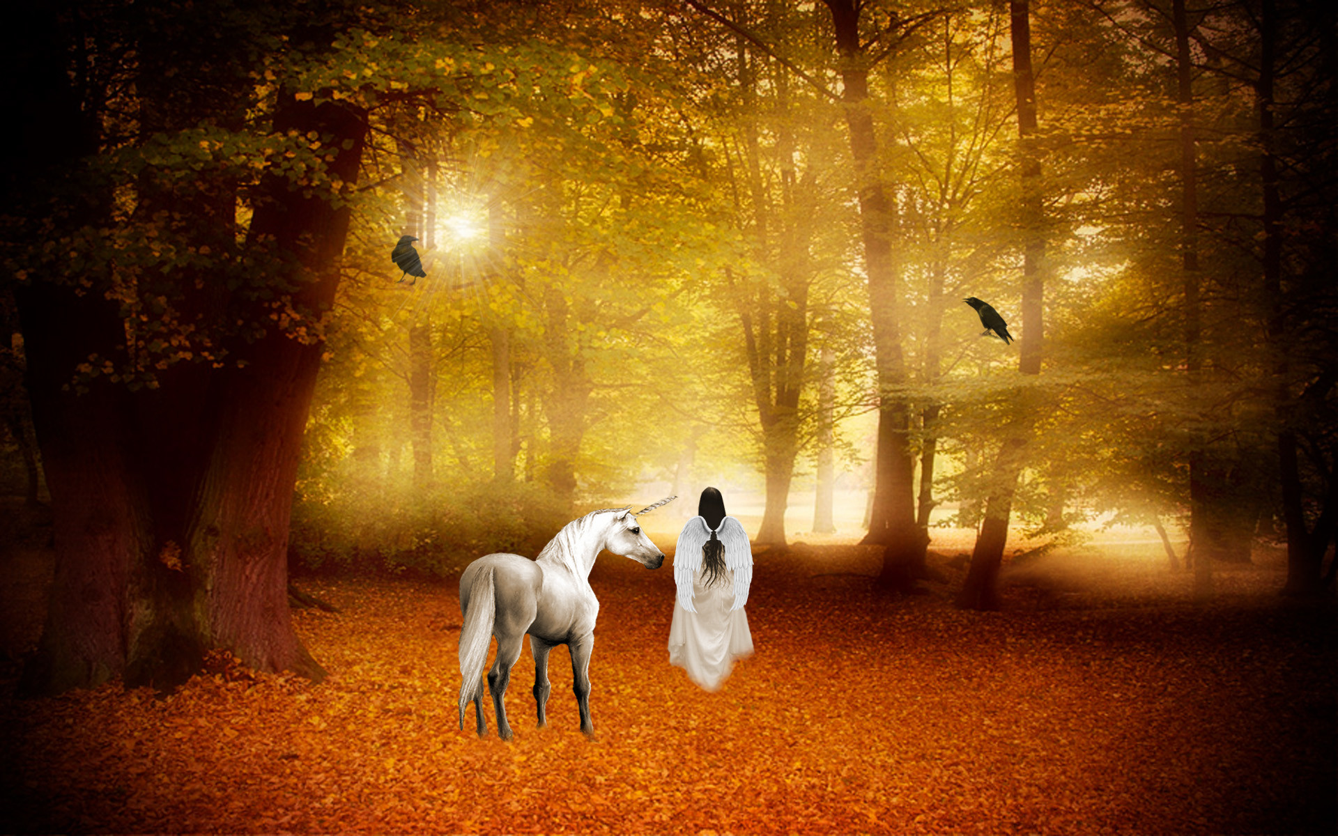 1920x1200 horse magical animal angel fairy autumn forest g wallpaper background .