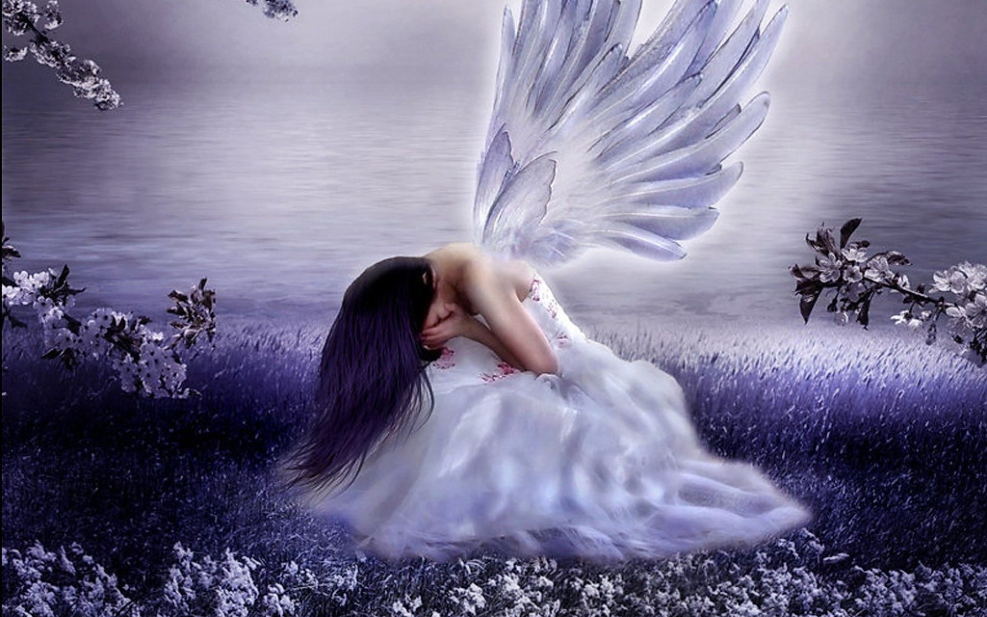 1920x1200 angel wallpapers free