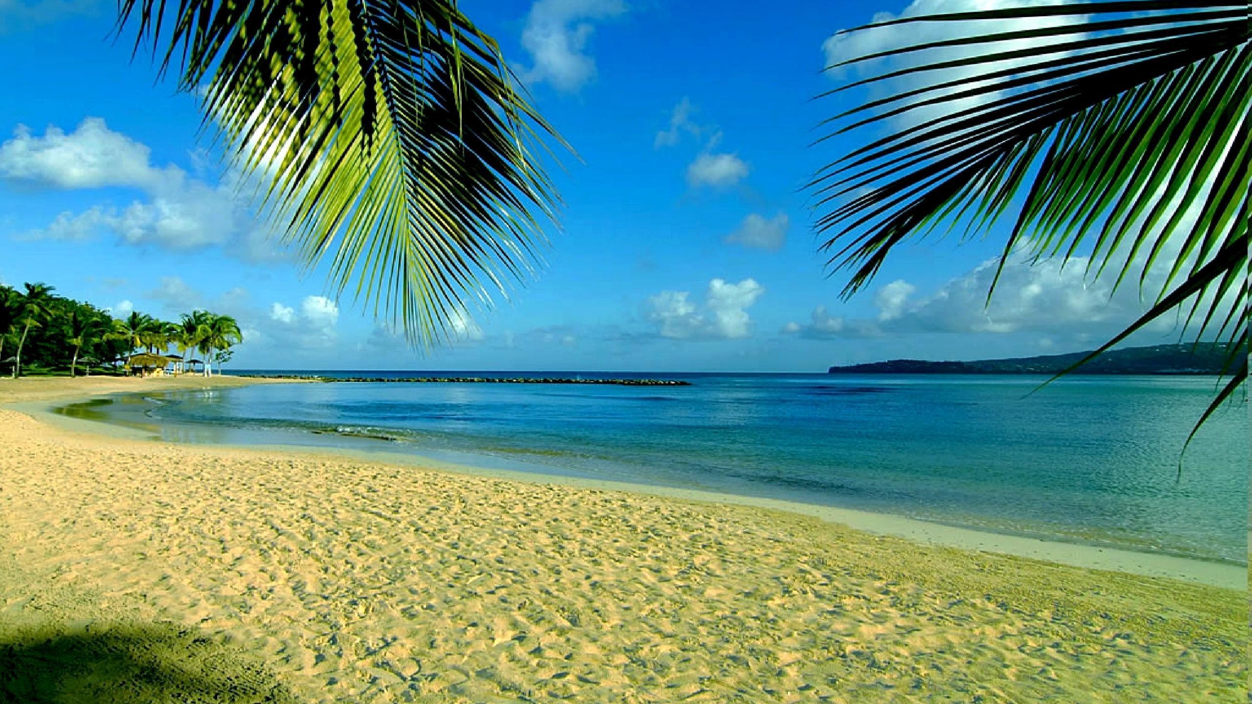 2560x1440 Free Beach Backgrounds Free Royalty - HD Wallpapers