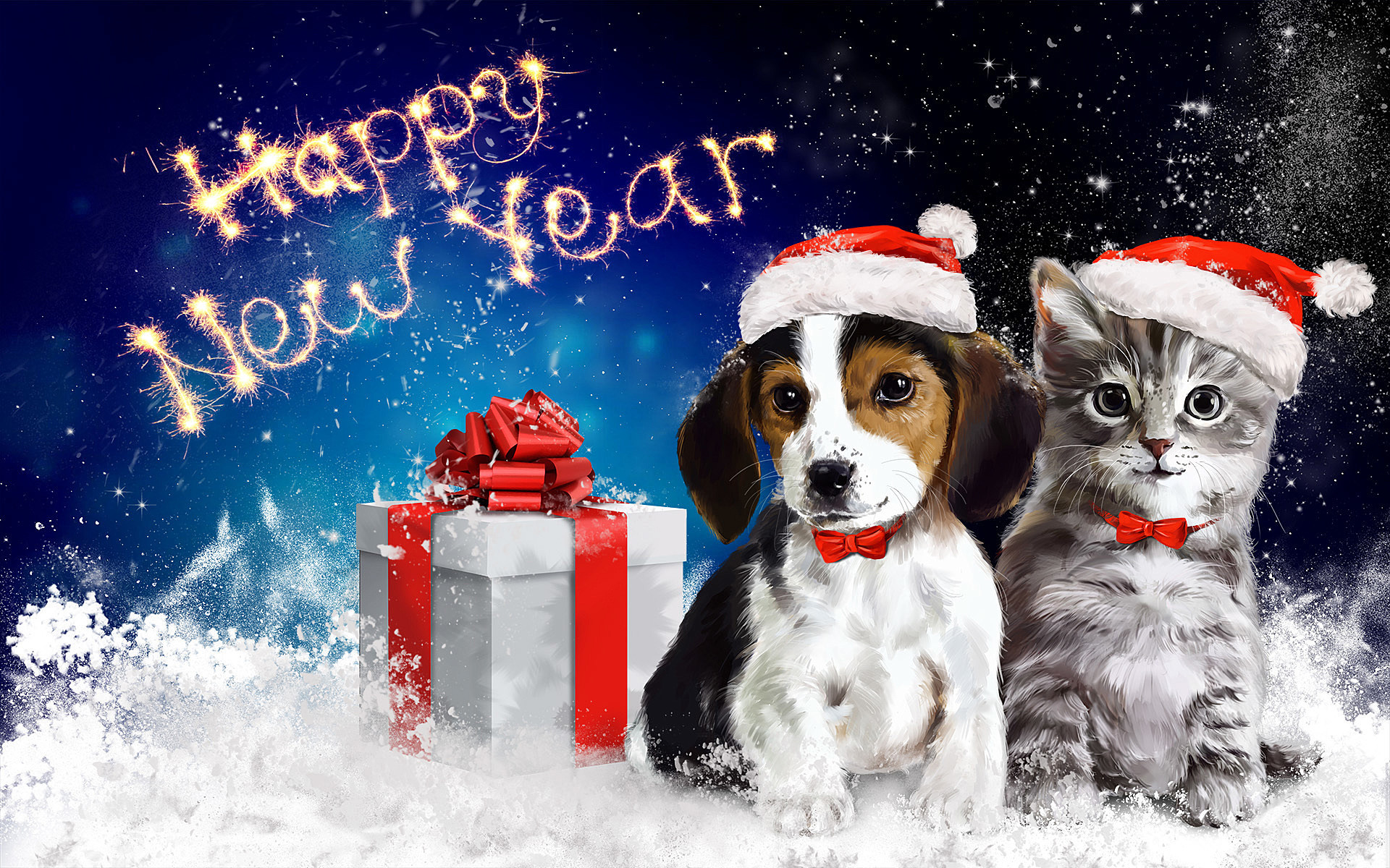 1920x1200 Happy puppy and kitten in the new year Wallpapers the most beautiful  