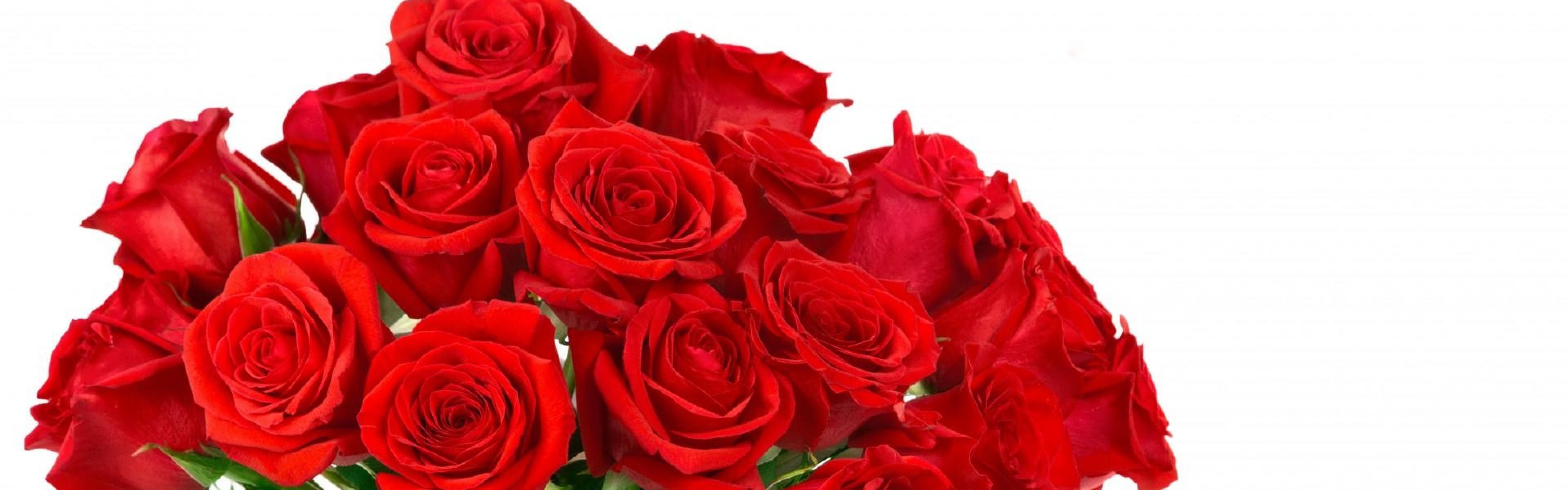 3840x1200  Wallpaper roses, flowers, bouquet, bright, red, white background,  inscription