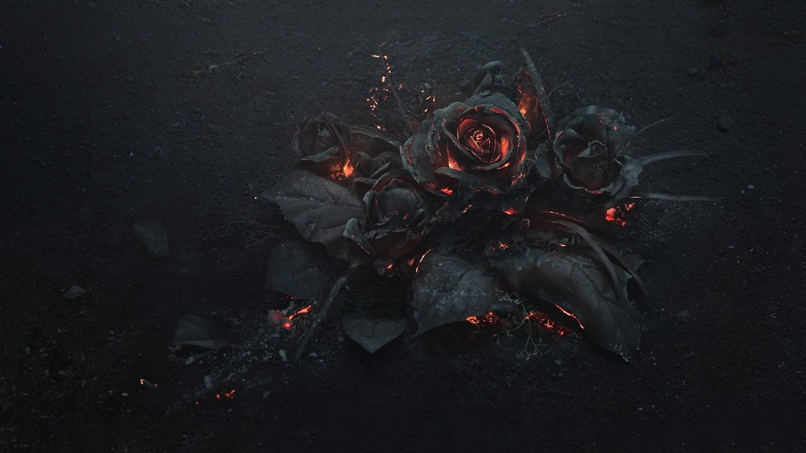2560x1440 A Smoldering Bouquet of Roses Photographed by Ars Thanea