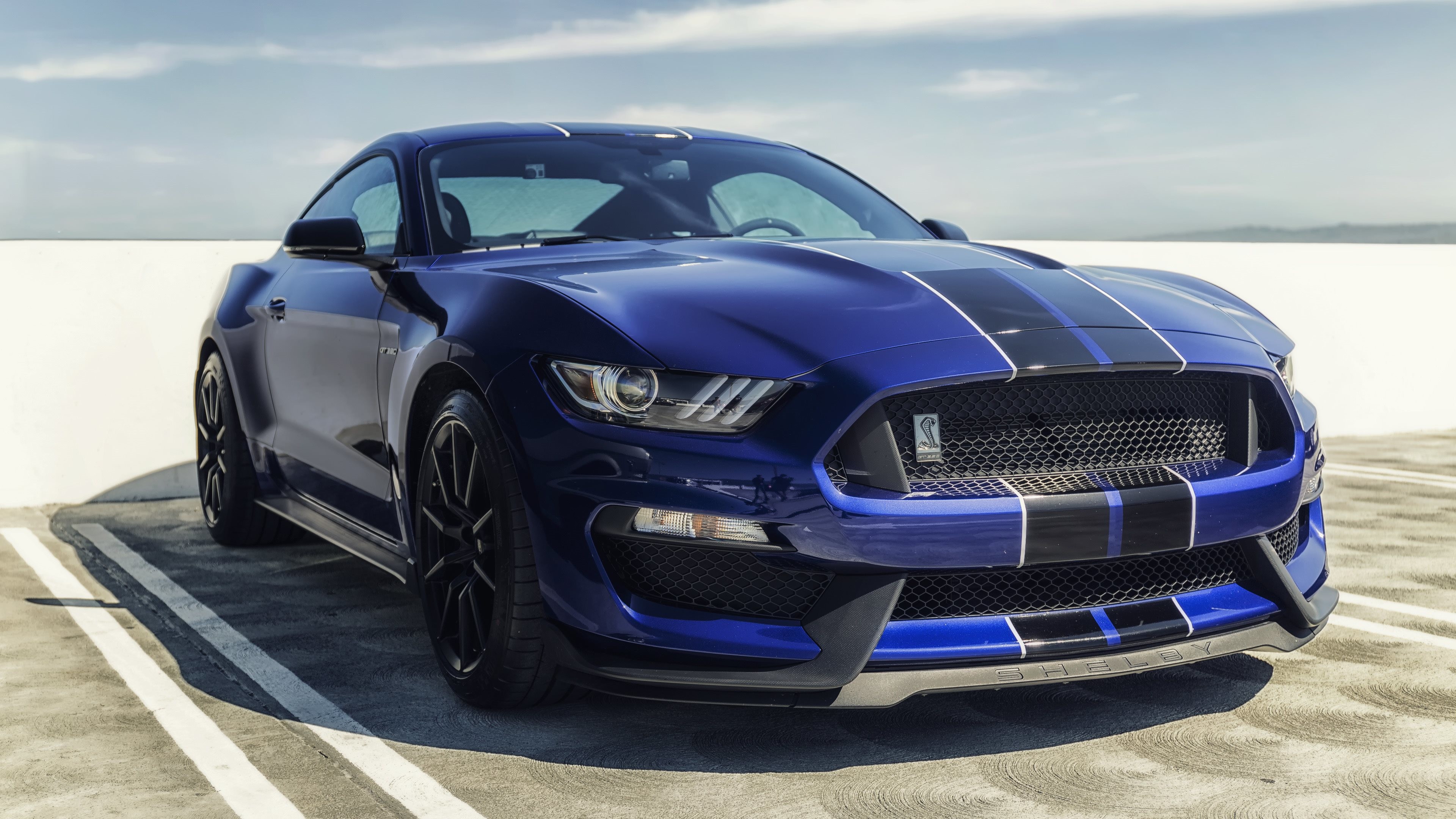 3840x2160 ford mustang gt350 wallpaper ford mustang shelby gt350 blue mustang sports  cars 4k widescreen wallpaper -