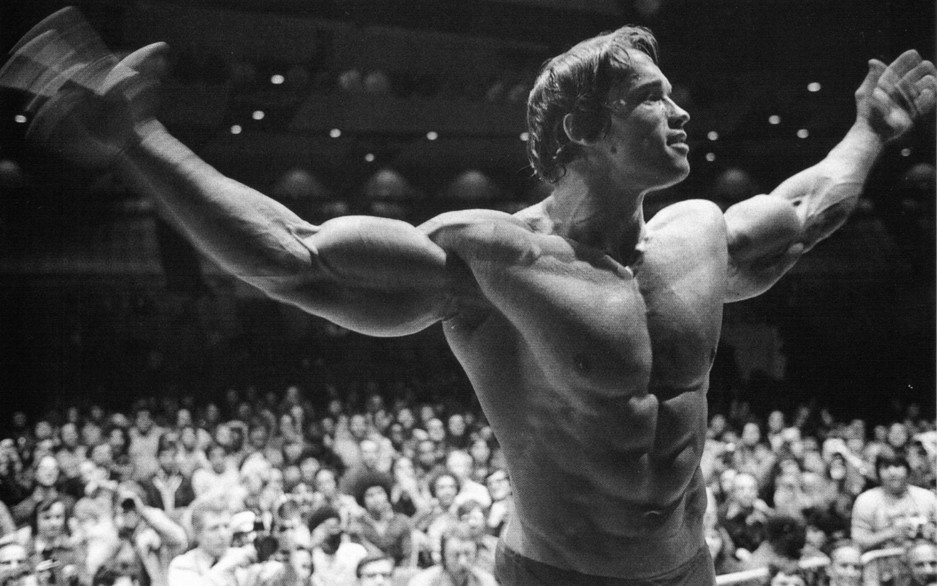 1920x1200 Arnold Schwarzenegger Mr. Olympia with  Resolution