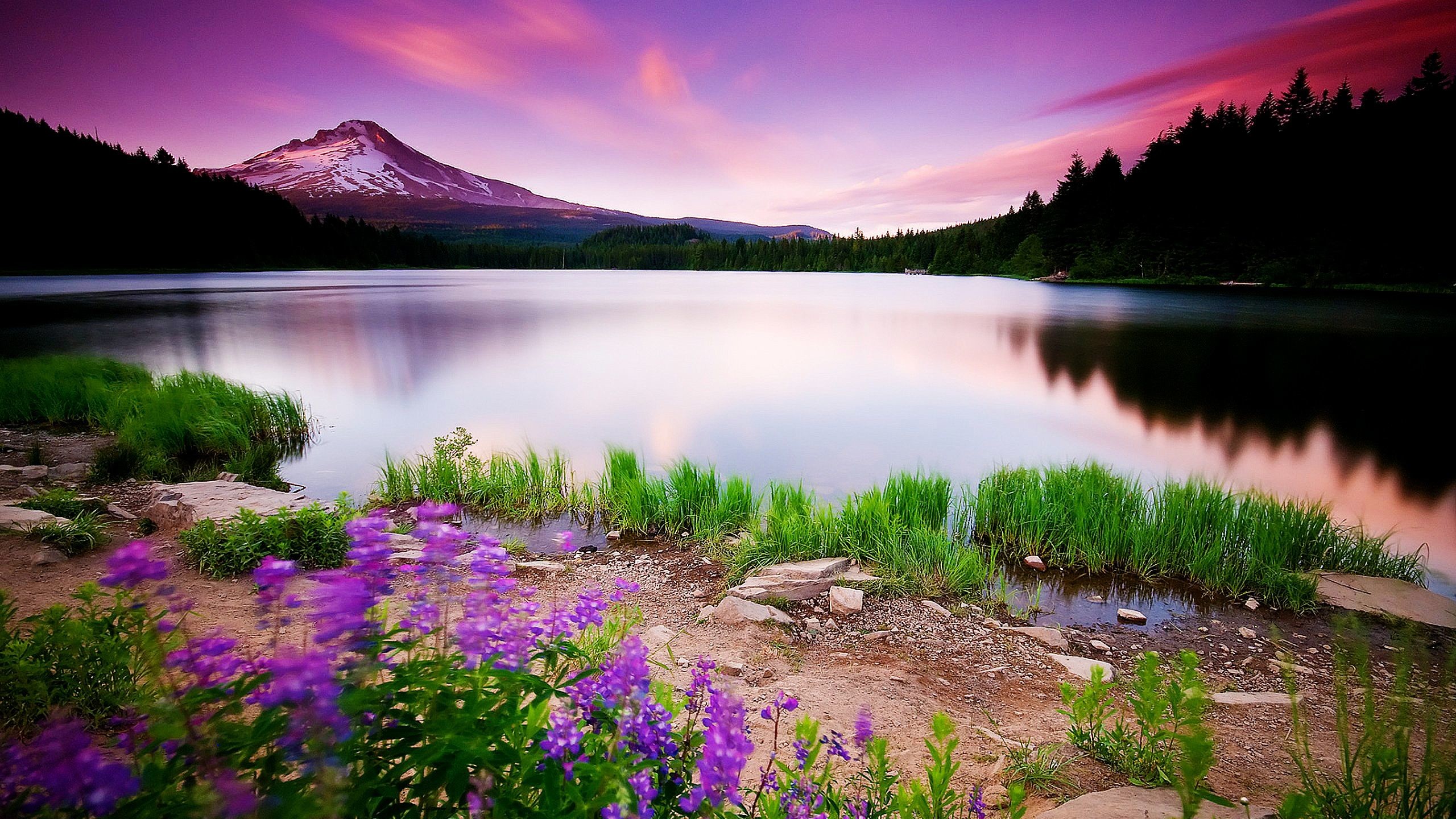 2560x1440 Widescreen-Nature-Wallpapers-High-Resolution-Gallery-(66-Plus