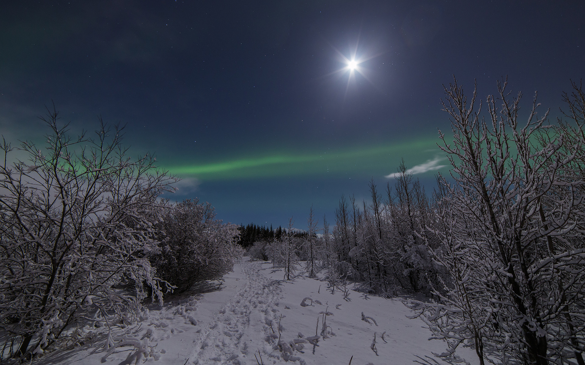 1920x1200 Free Winter Night In Moonlight Photo.