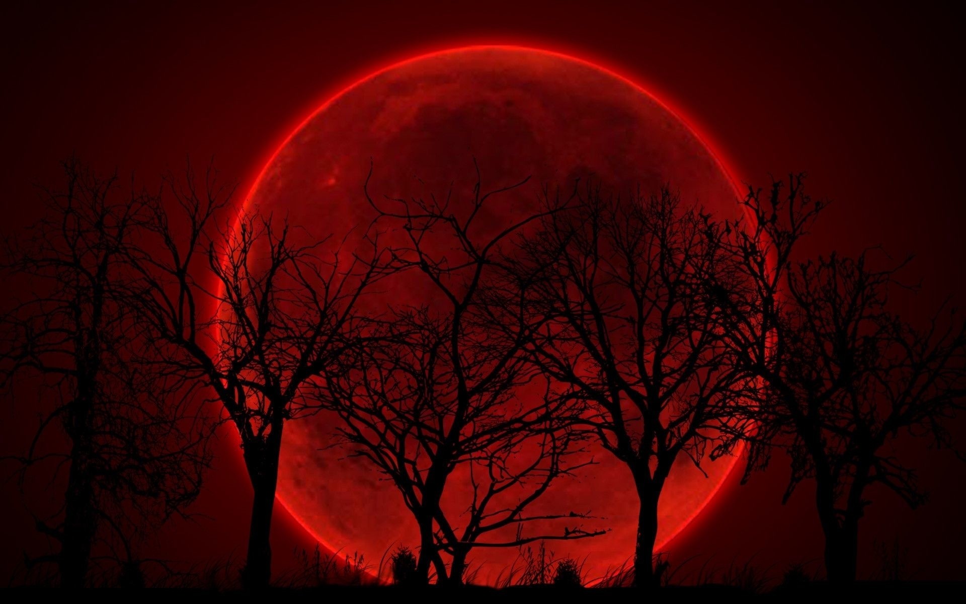 1920x1200 Title : blood red moon wallpaper (55+ images) Dimension : 1920 x 1200. File  Type : JPG/JPEG