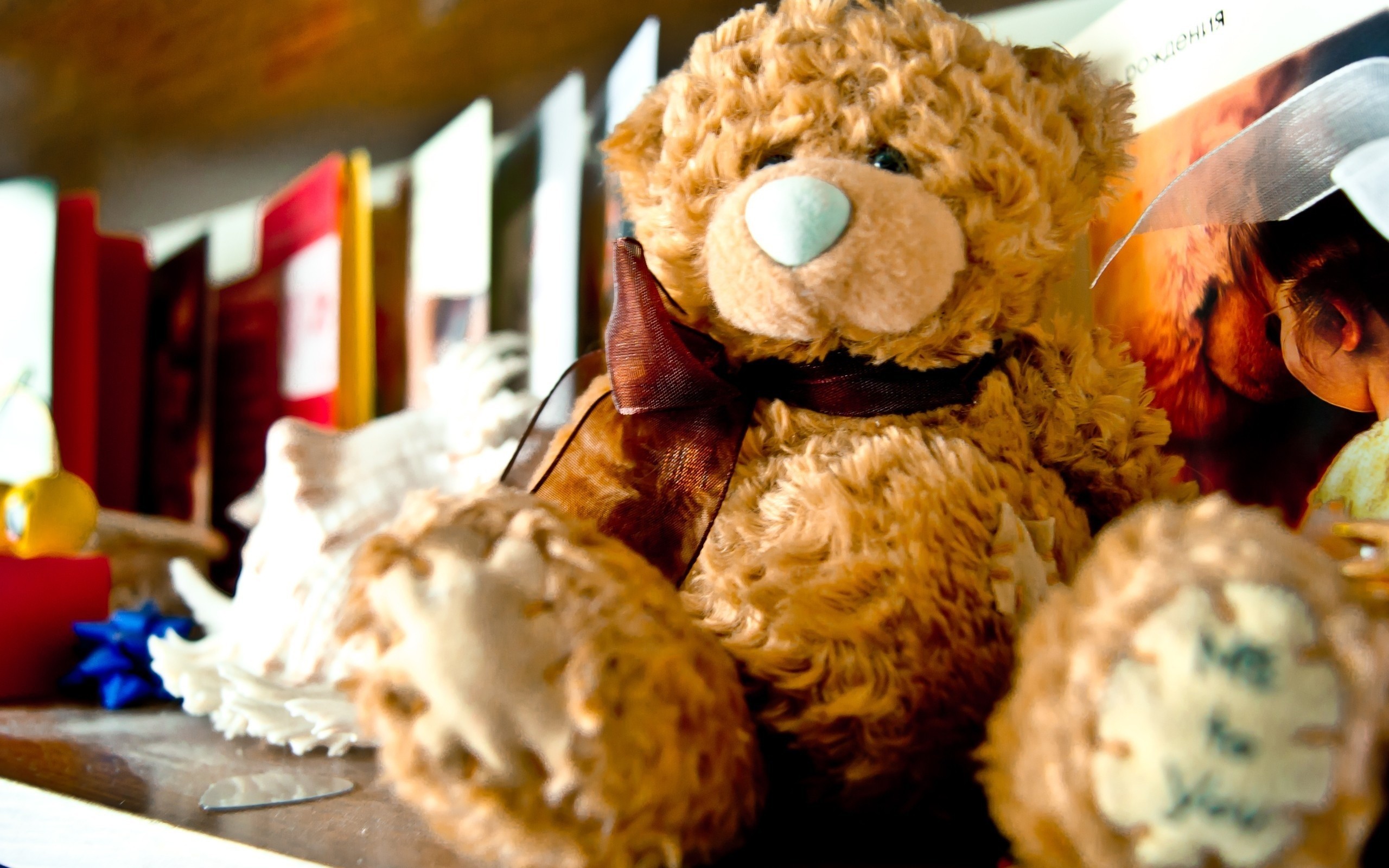 2560x1600 Download Free Lovely And Beautiful Teddy Bear Wallpapers Free