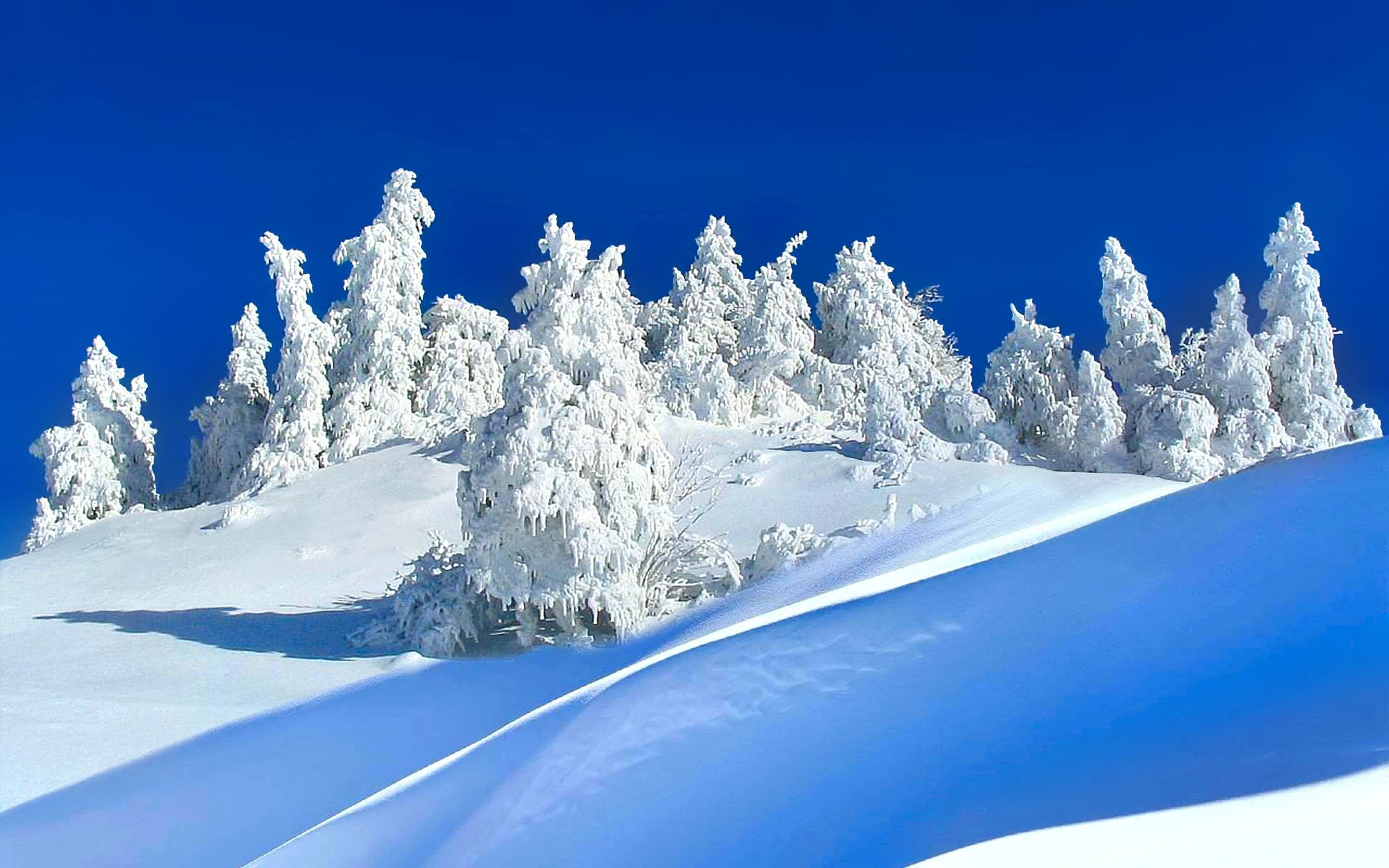 2880x1800 Winter Opus Nature Full HD Heavenly Wallpaper