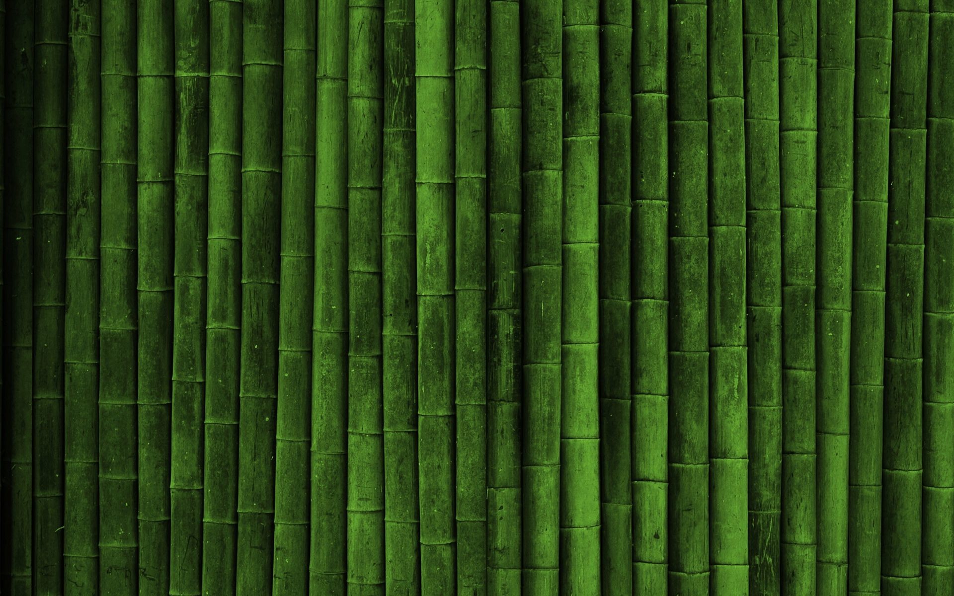 1920x1200 Green Background wallpaper