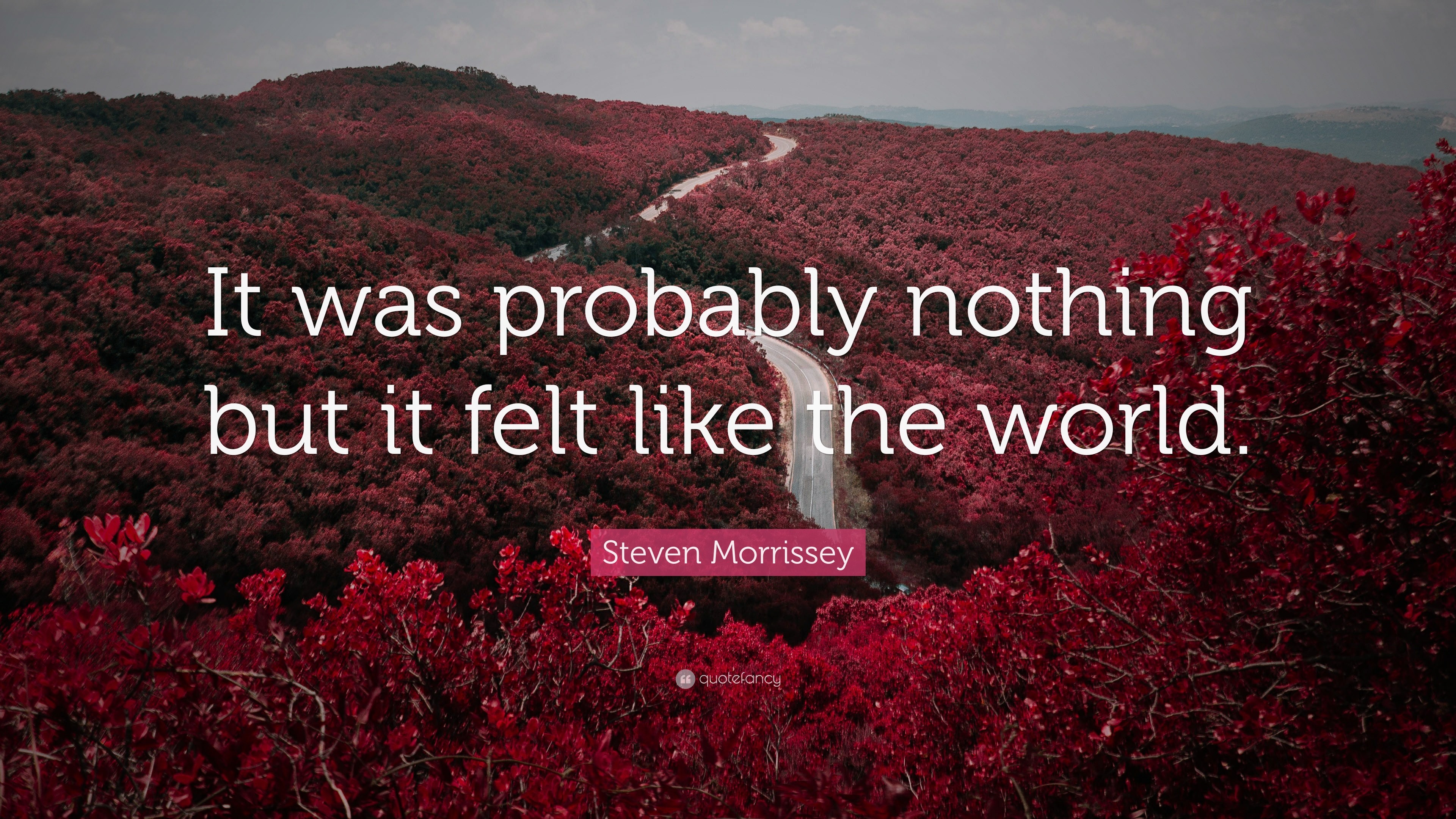 3840x2160 Steven Morrissey Quote: “It was probably nothing but it felt like the world.