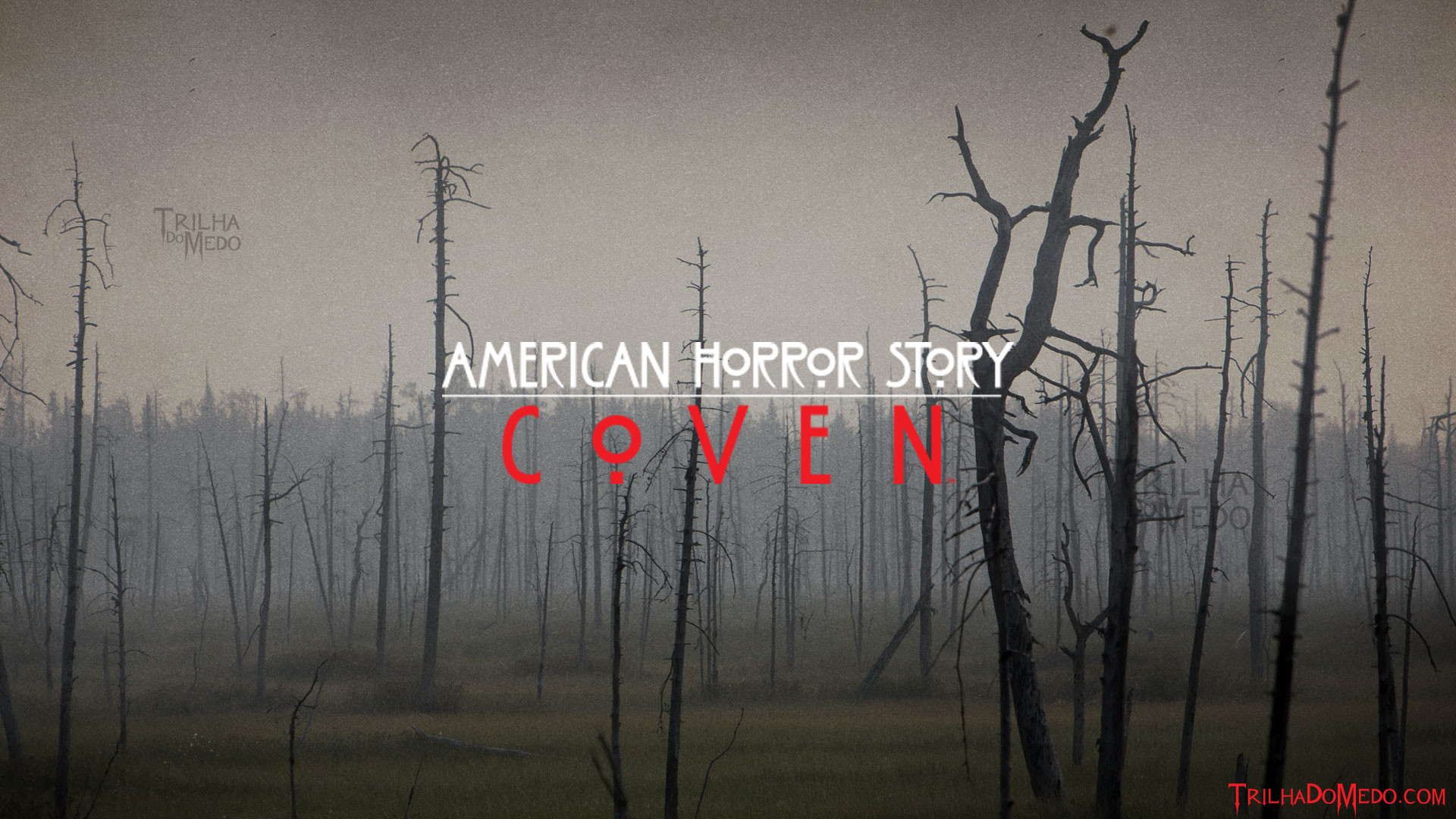 1920x1080 American Horror Story: Coven Wallpapers