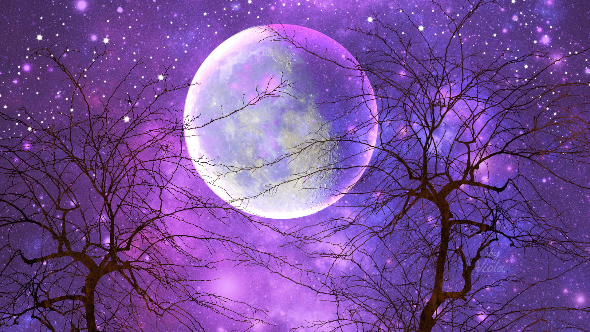 1920x1080 Artistic - Moon Artistic Sky Purple Starry Sky Tree Wallpaper