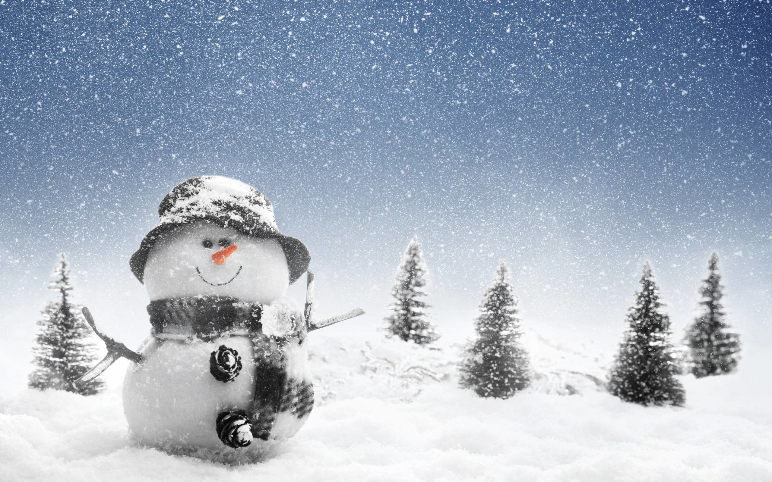 2560x1600 Snowman Wallpaper In Winter photos of Free Christmas Snowman .