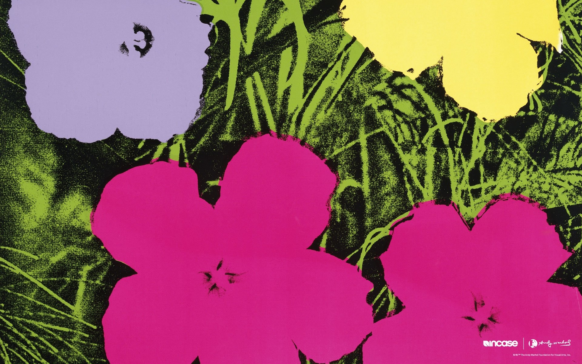 1920x1200 Andy Warhol Flowers 1970