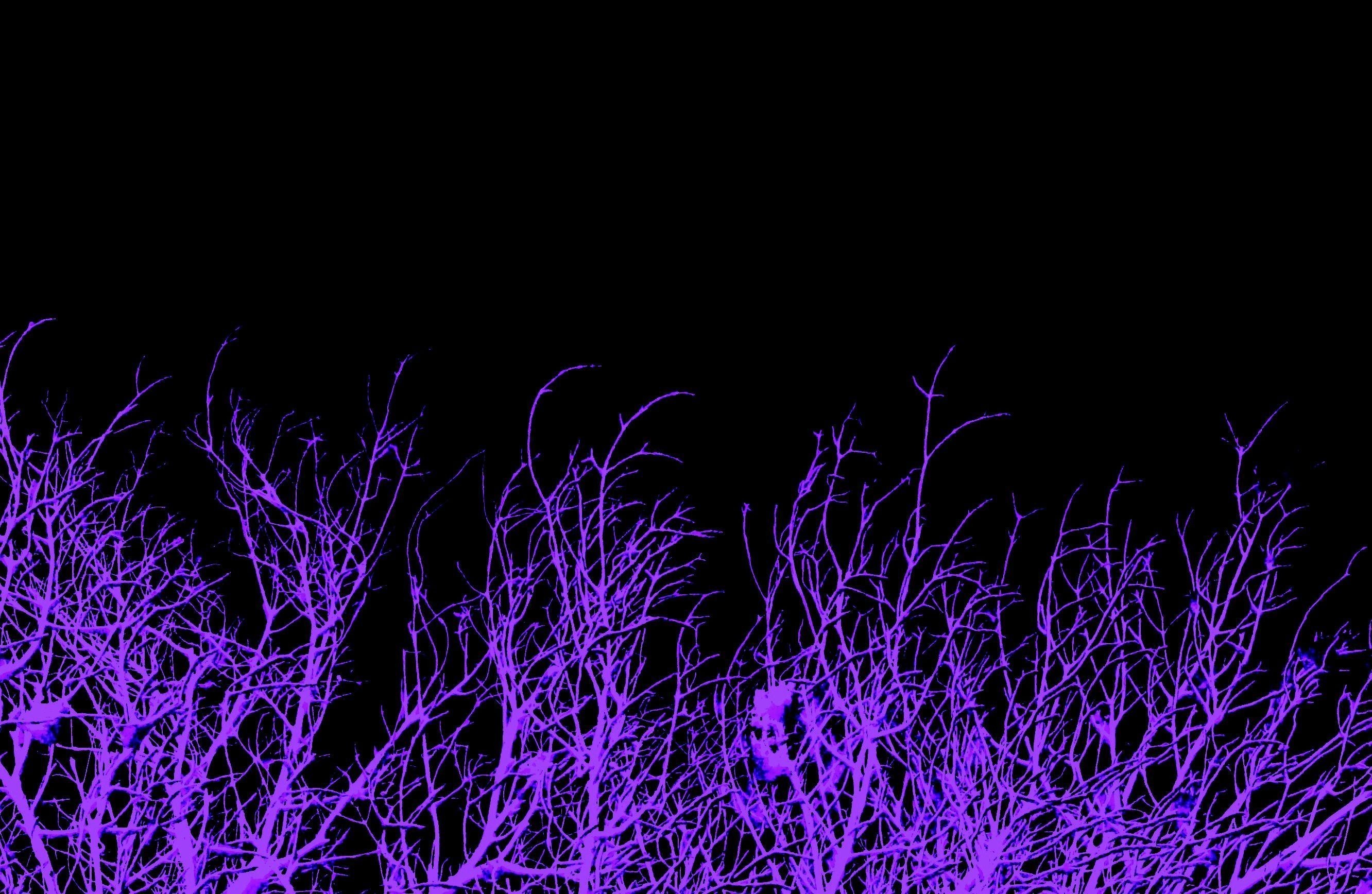 2664x1736  Wallpapers For > Dark Purple Background Tumblr Dark Purple  Background Tumblr