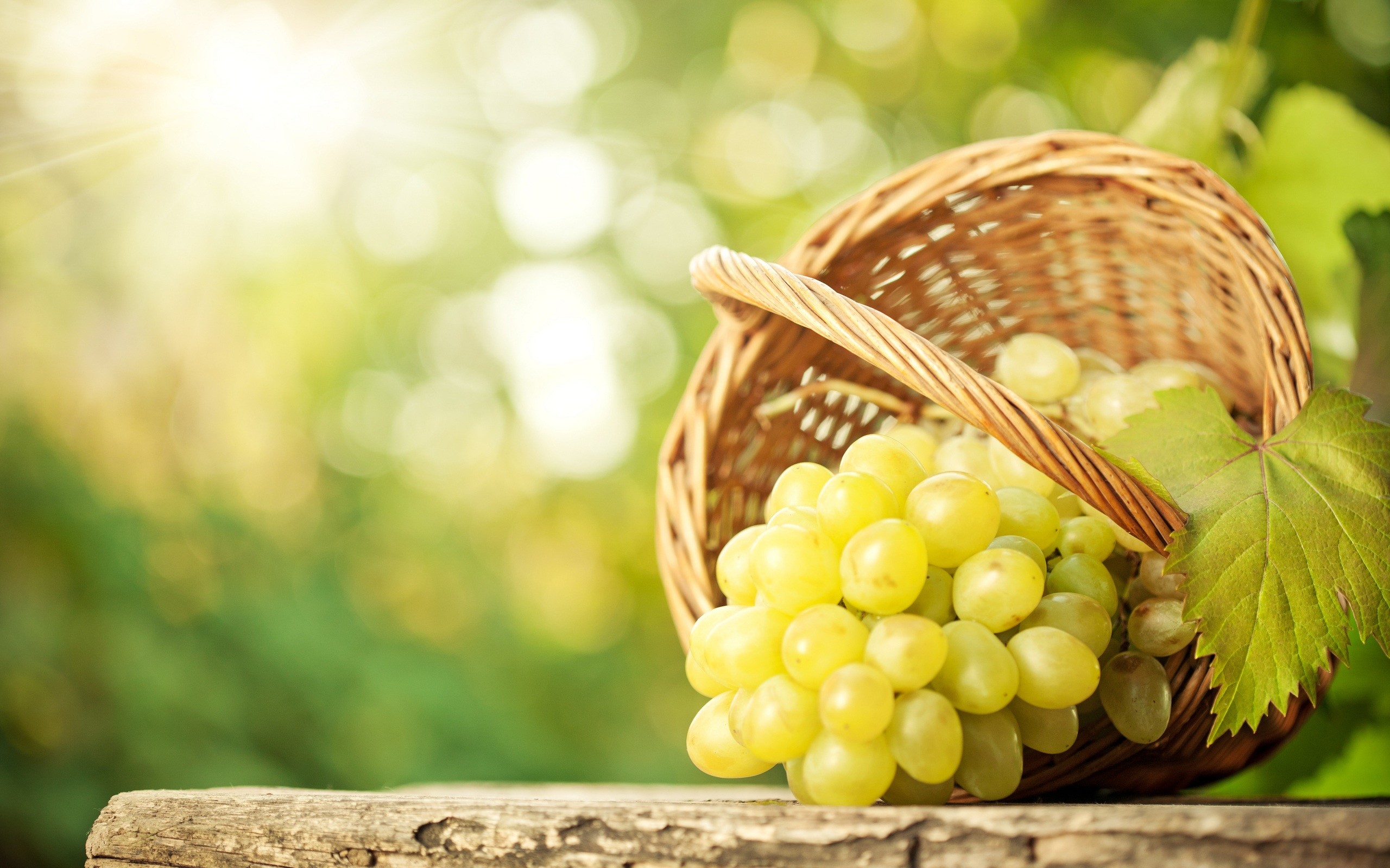 2560x1600 Grapes - Full HD Backgrounds ...